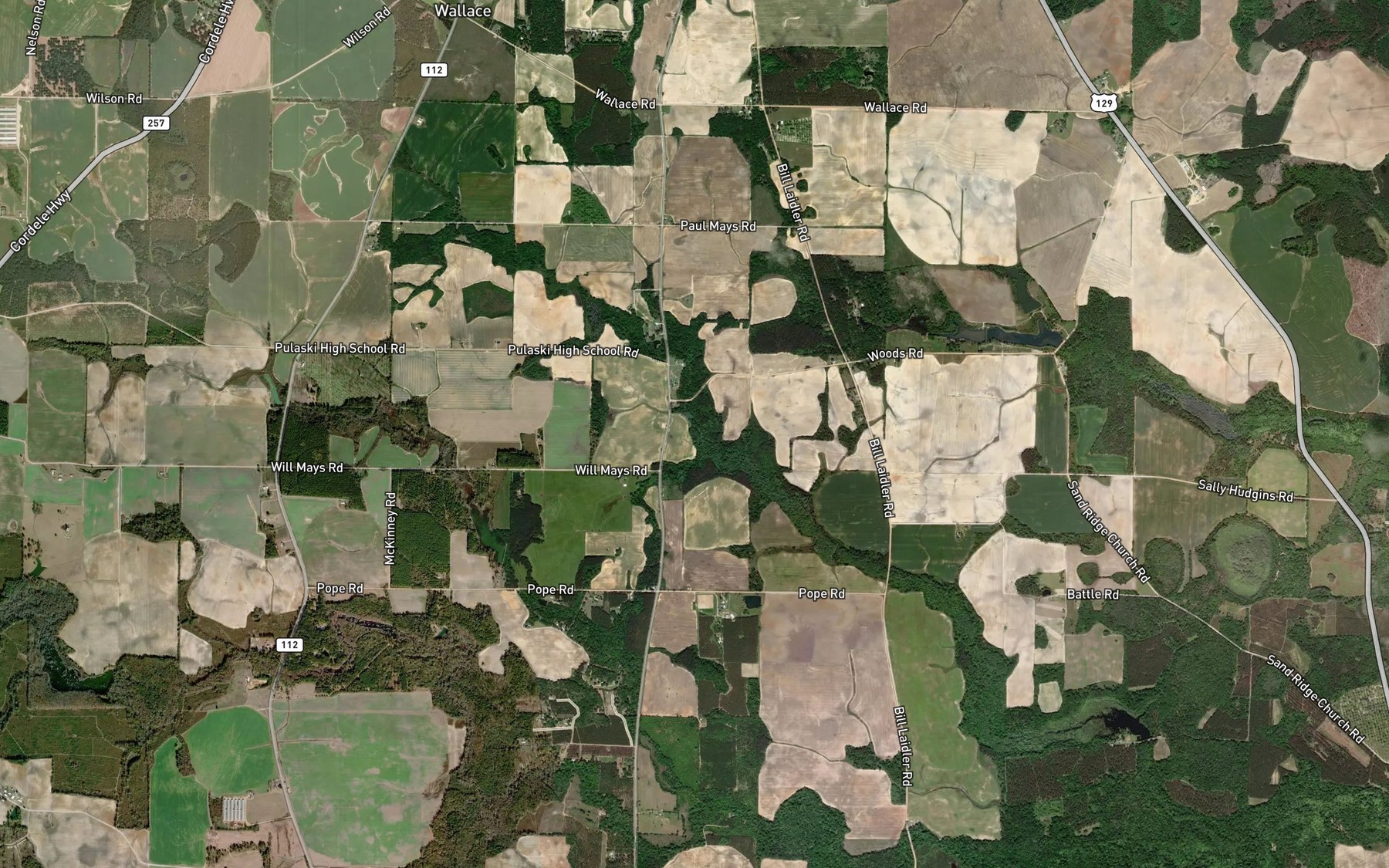 Satellite map of the Blue Springs