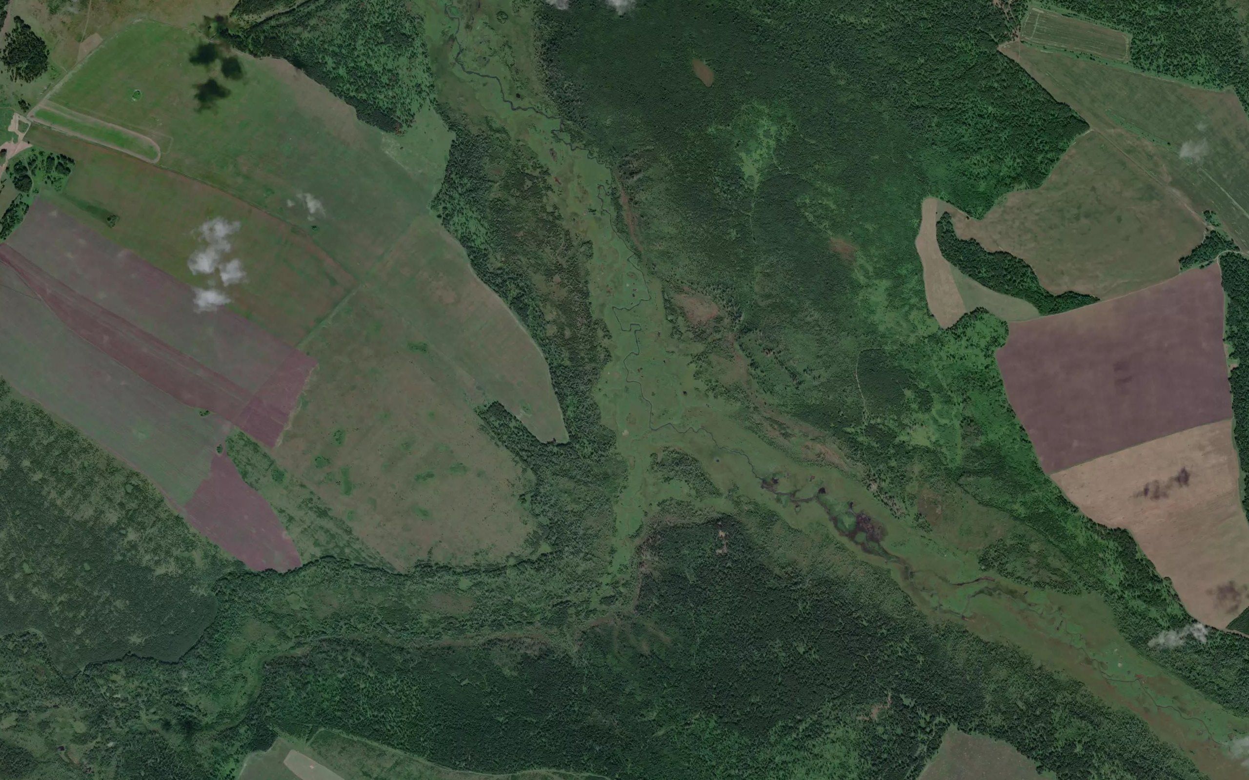 Kaduychik