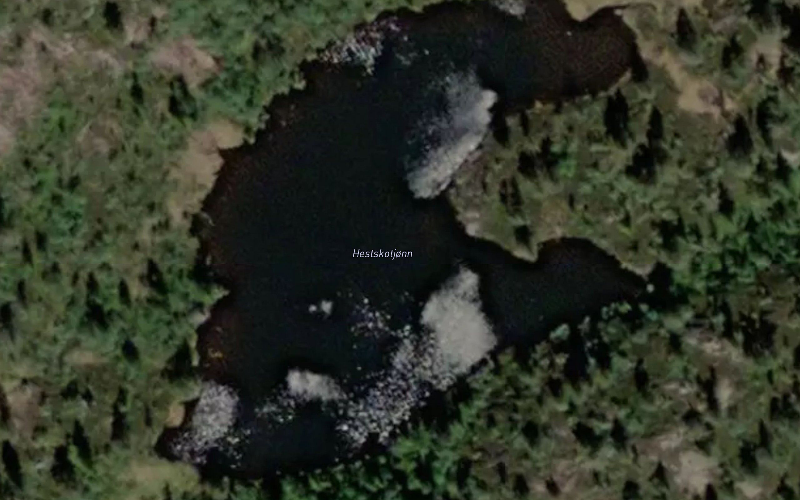 Hestskotjorn