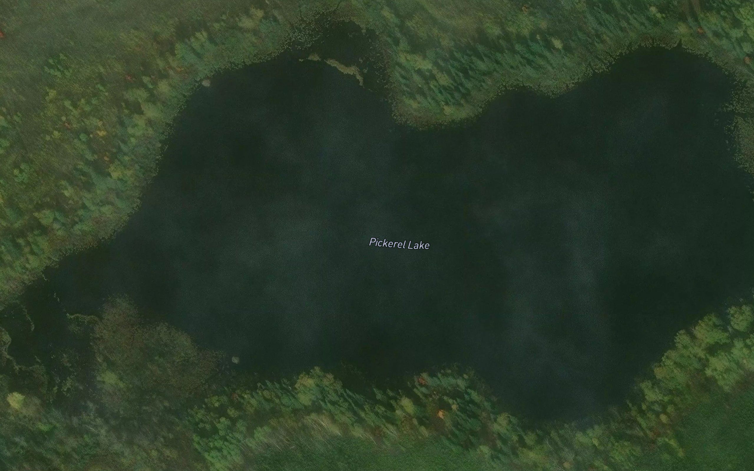 Pickerel Lake
