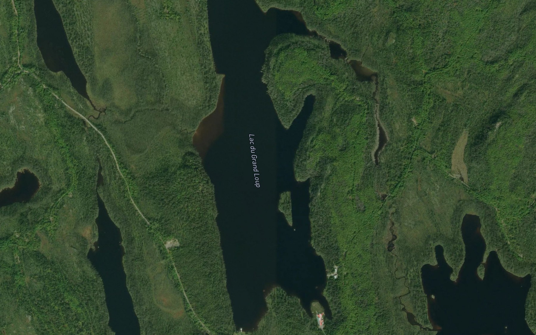 Satellite map of the Lac du Grand Loup