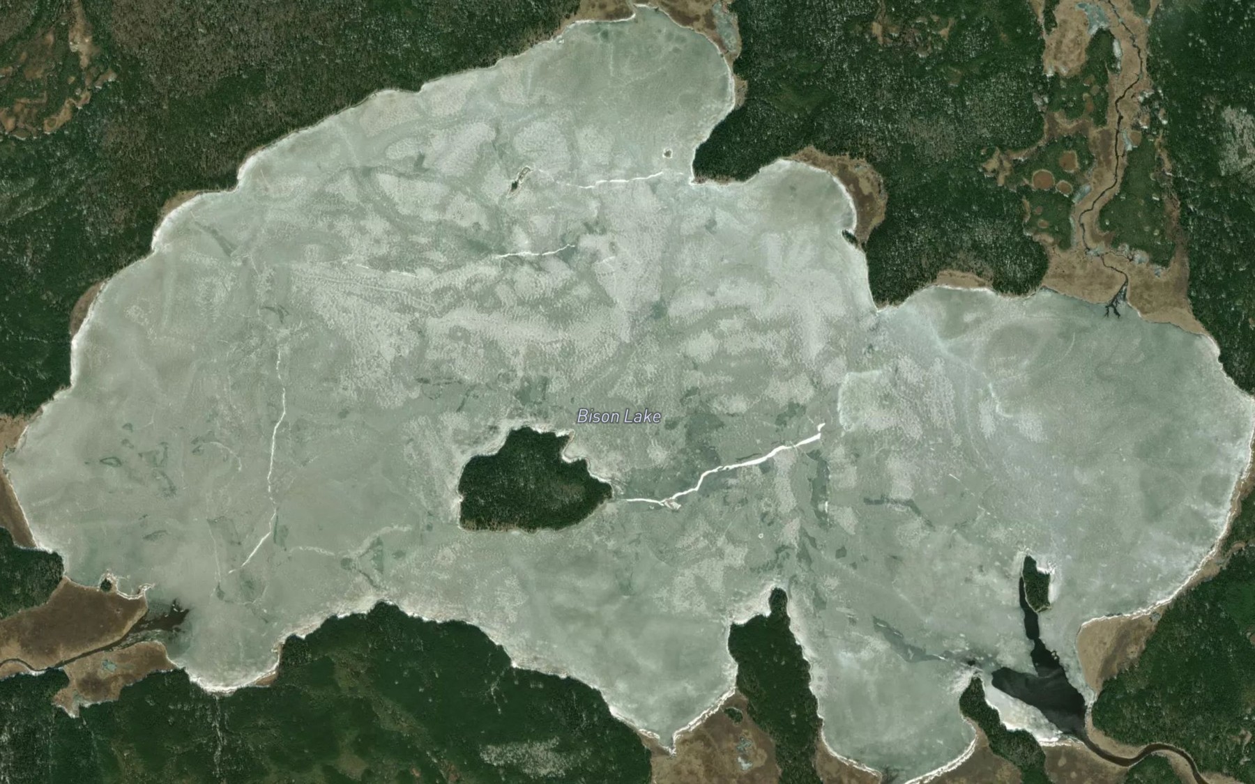 Satellite map of the Bison Lake