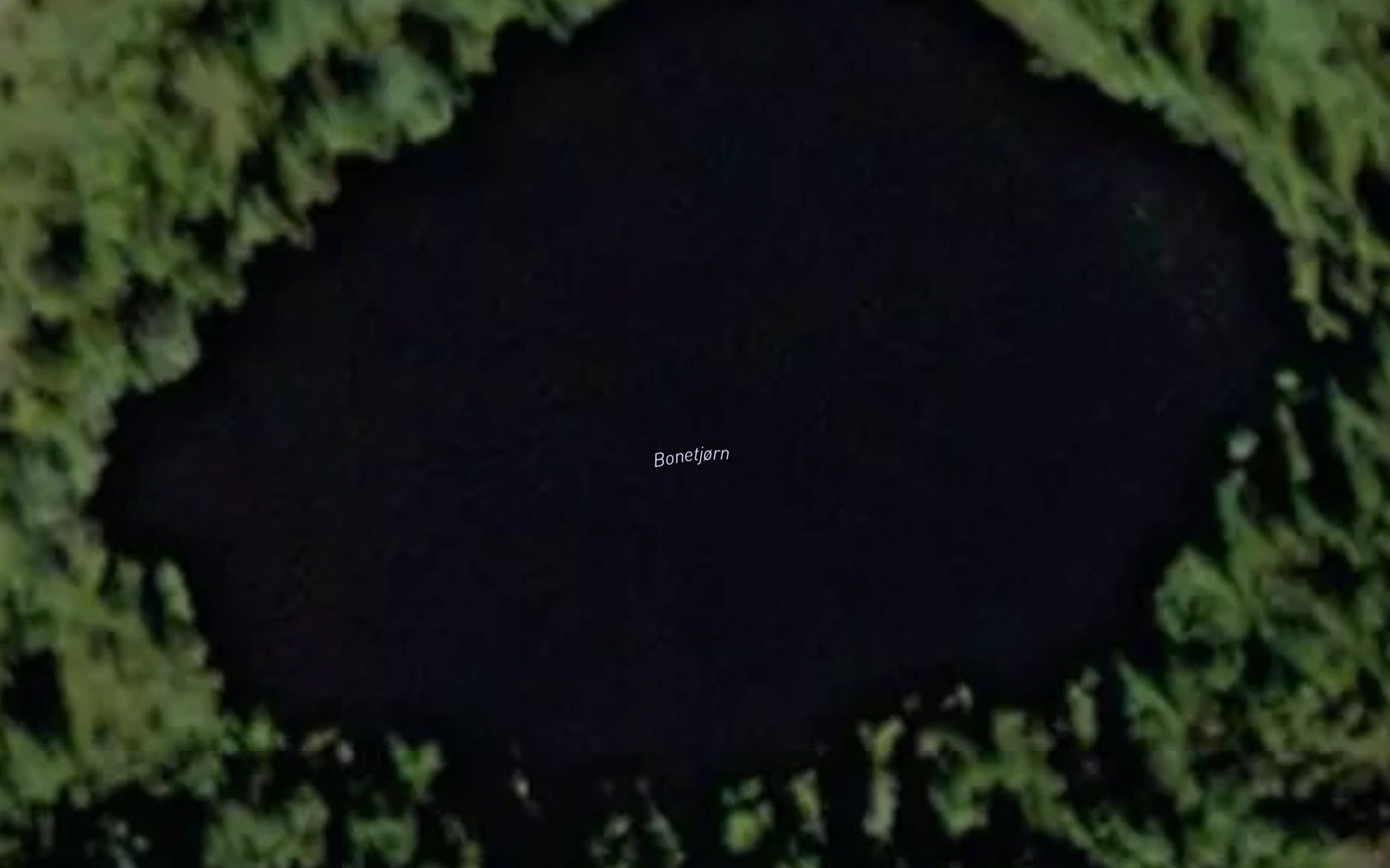 Bonetjorn