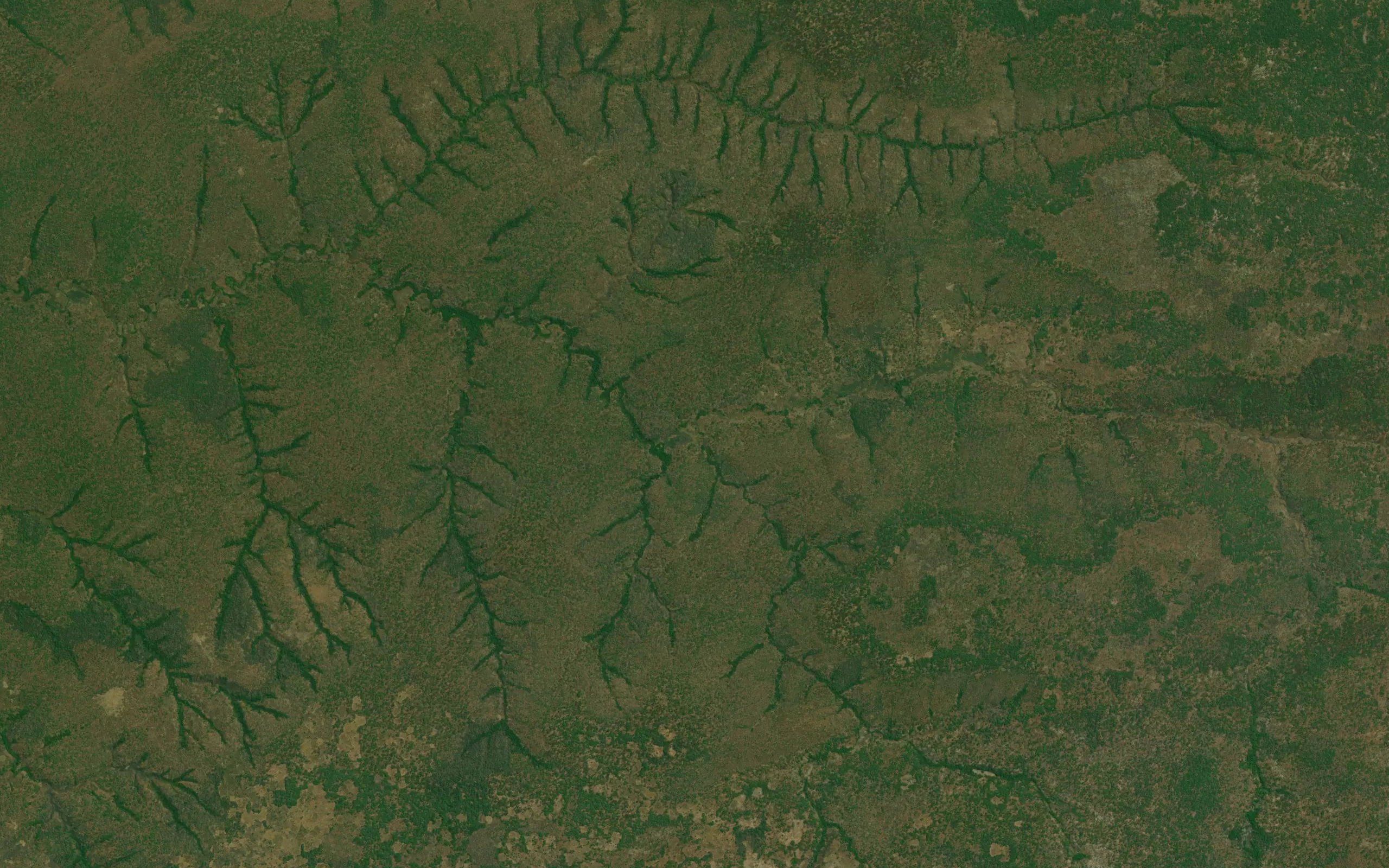 Kapisora-Kasanga