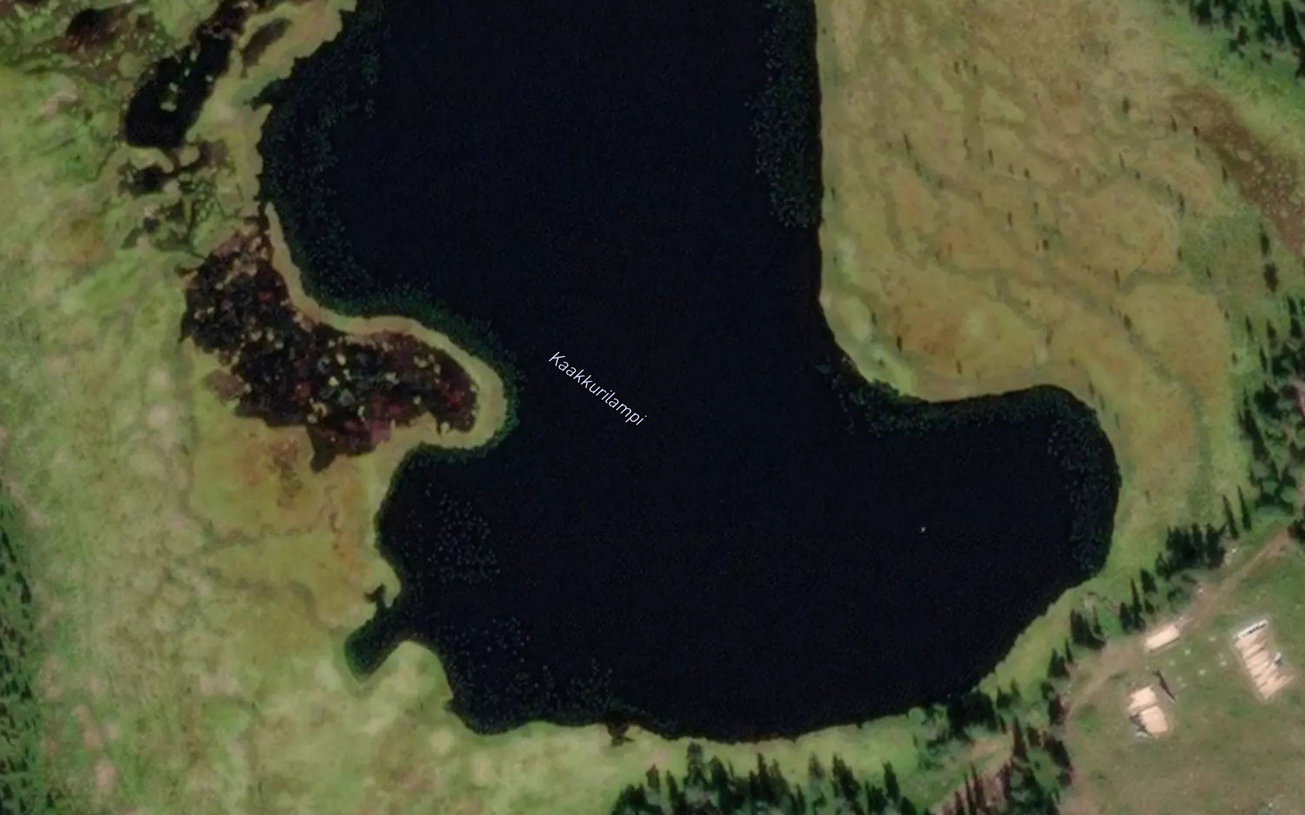 Kaakkurilampi
