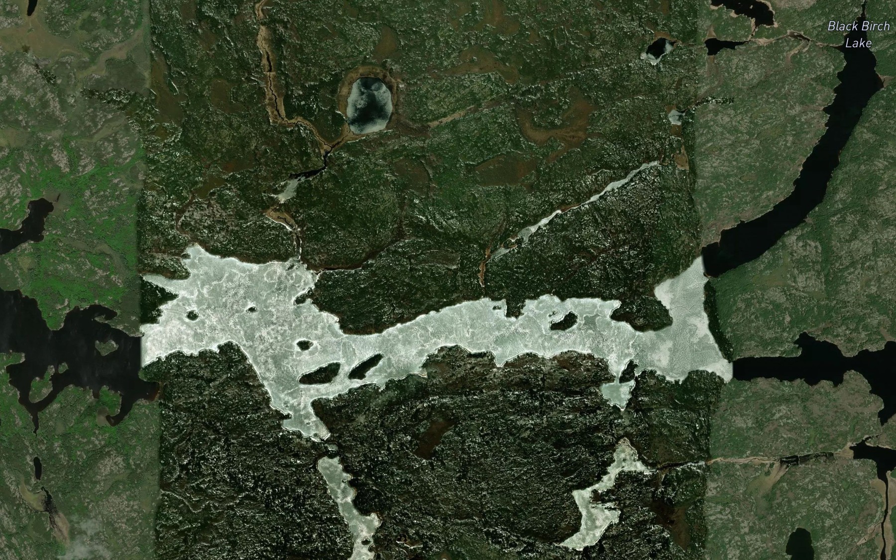 Satellite map of the Black Birch Lake