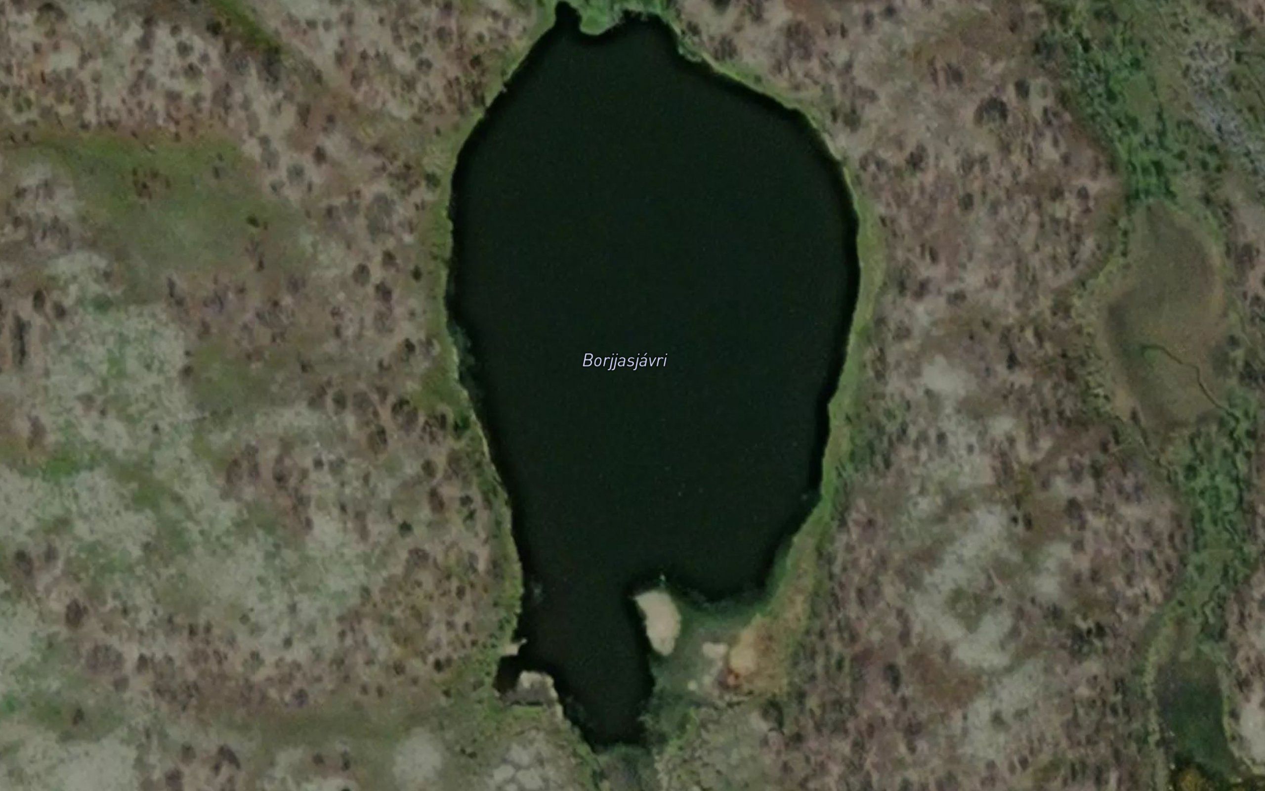 Borjjasjavri
