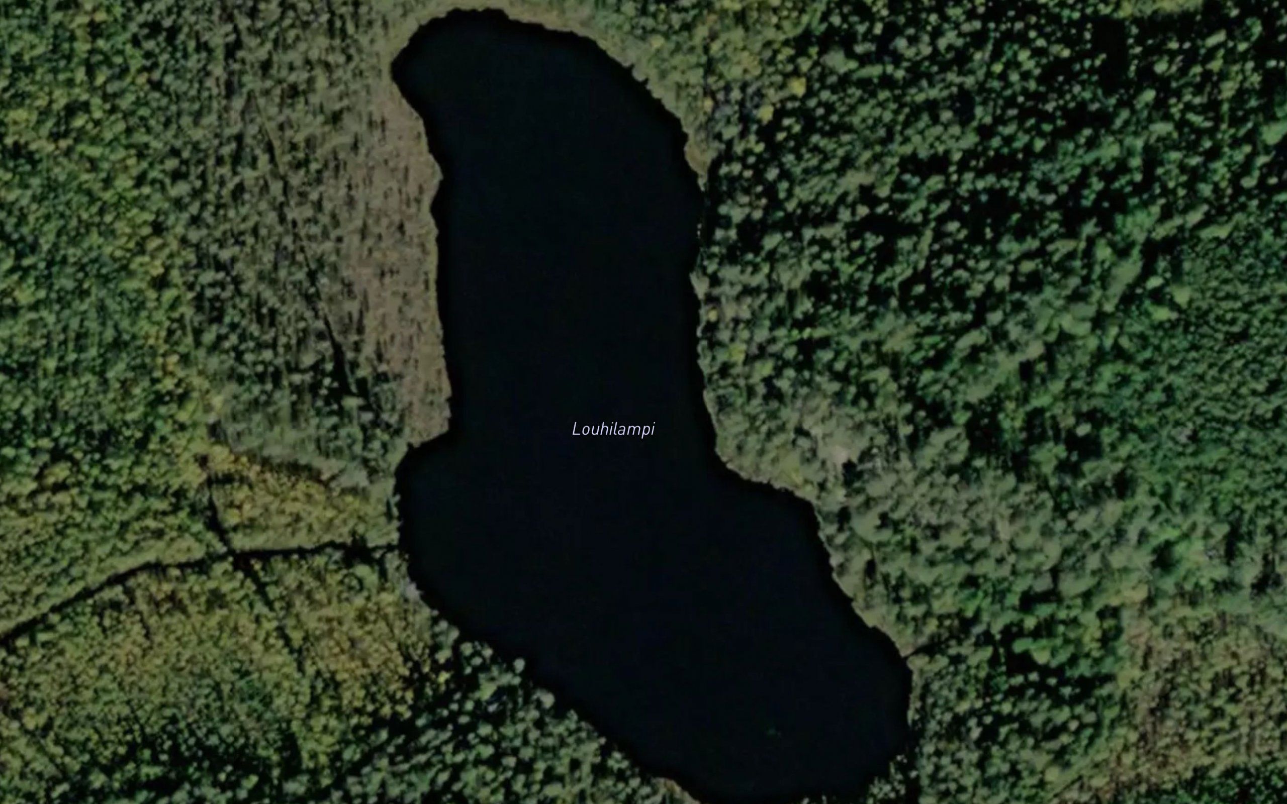Louhilampi