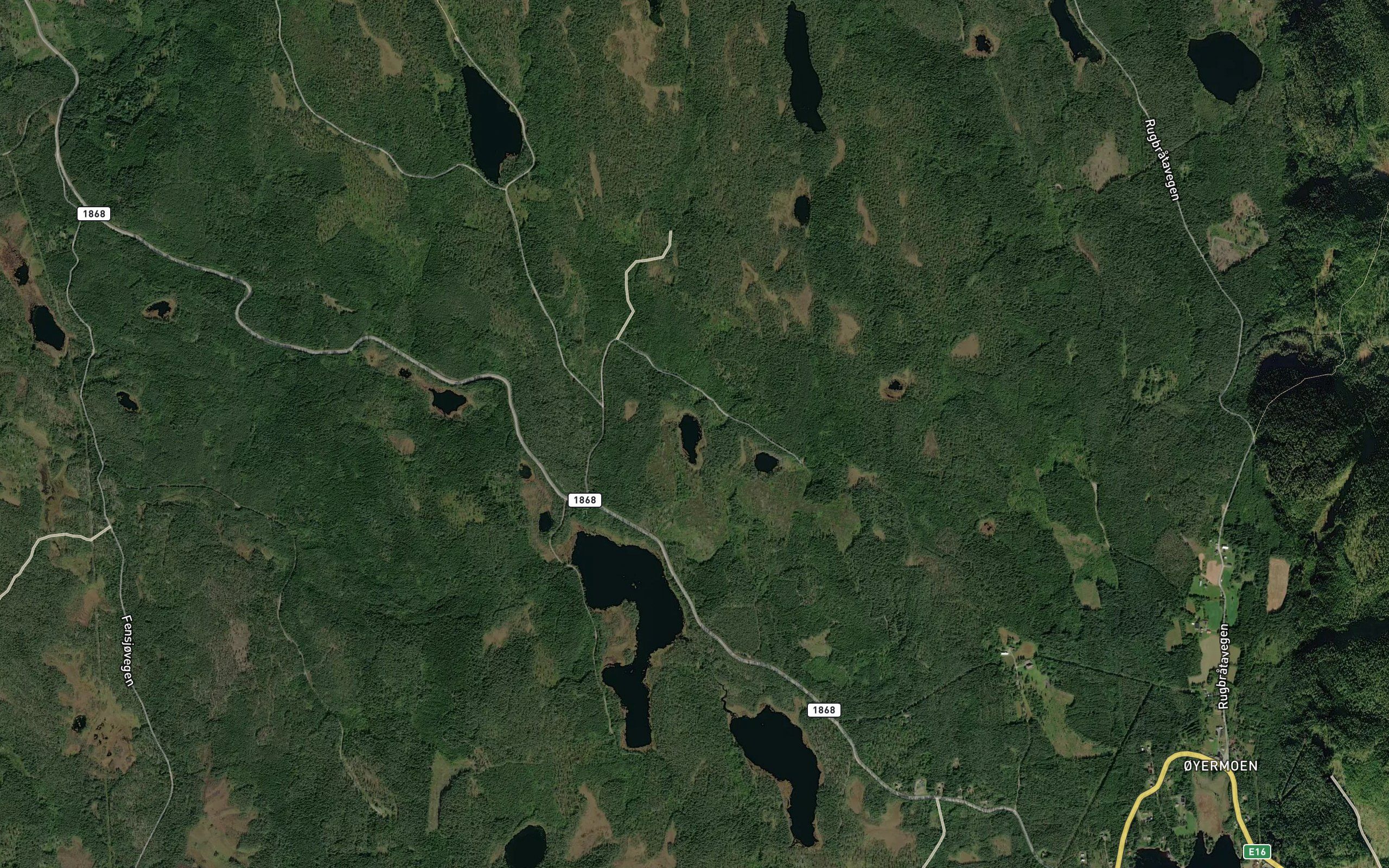 Kaevaeraeinen