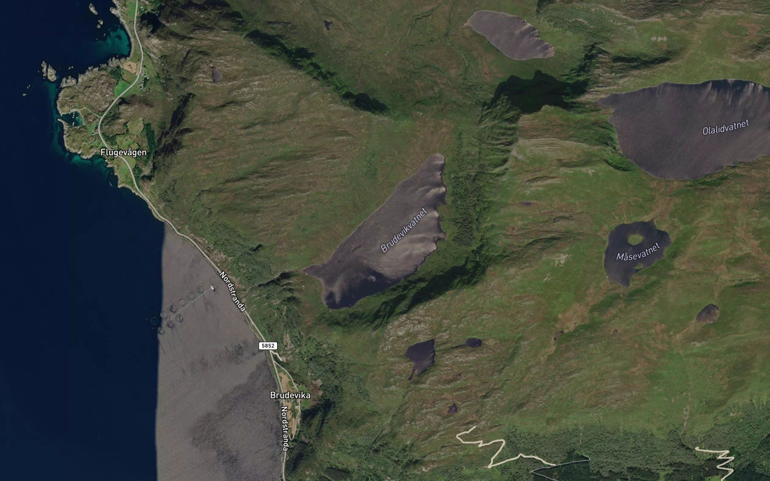 Brudevikvatnet