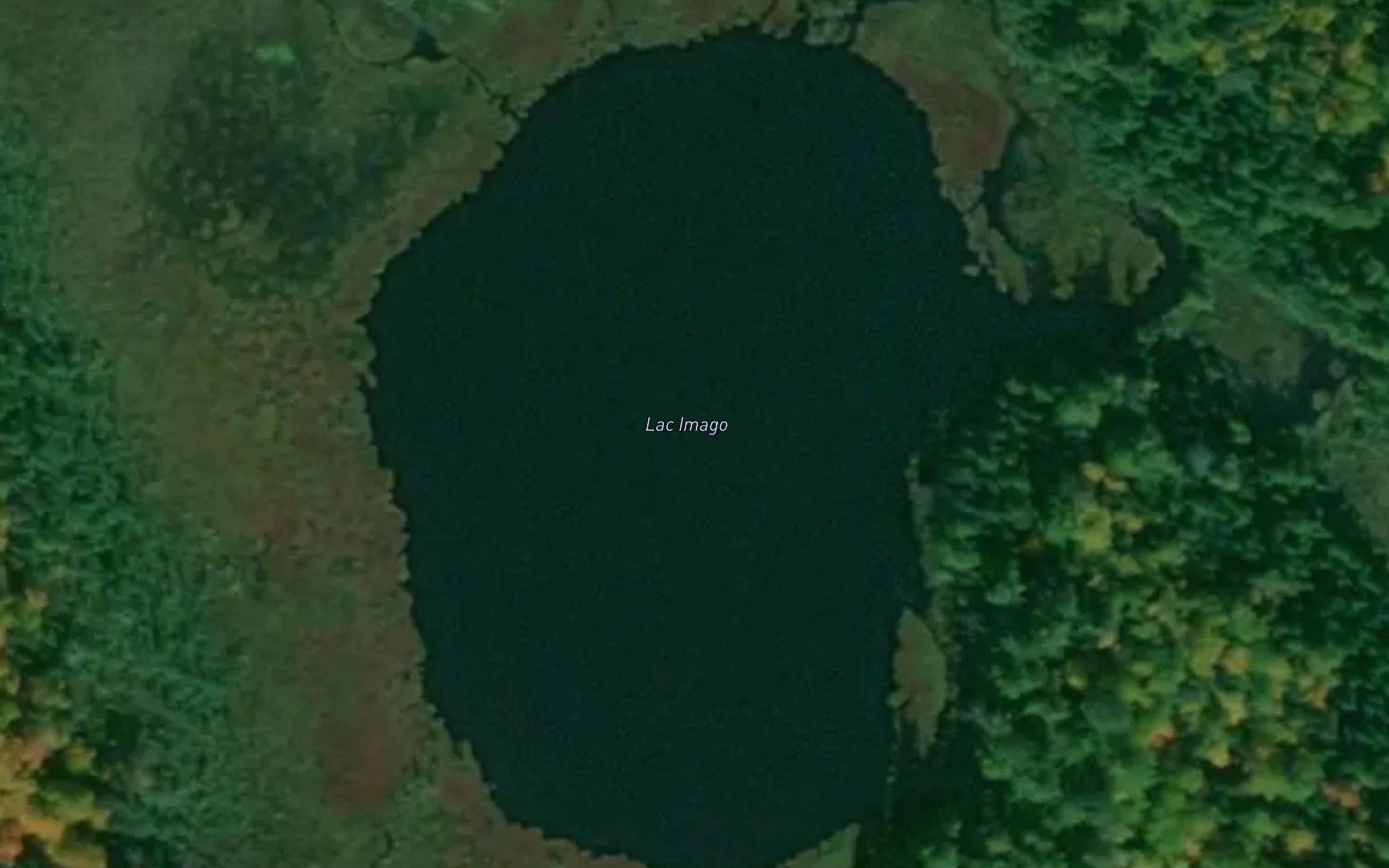 Lac Imago