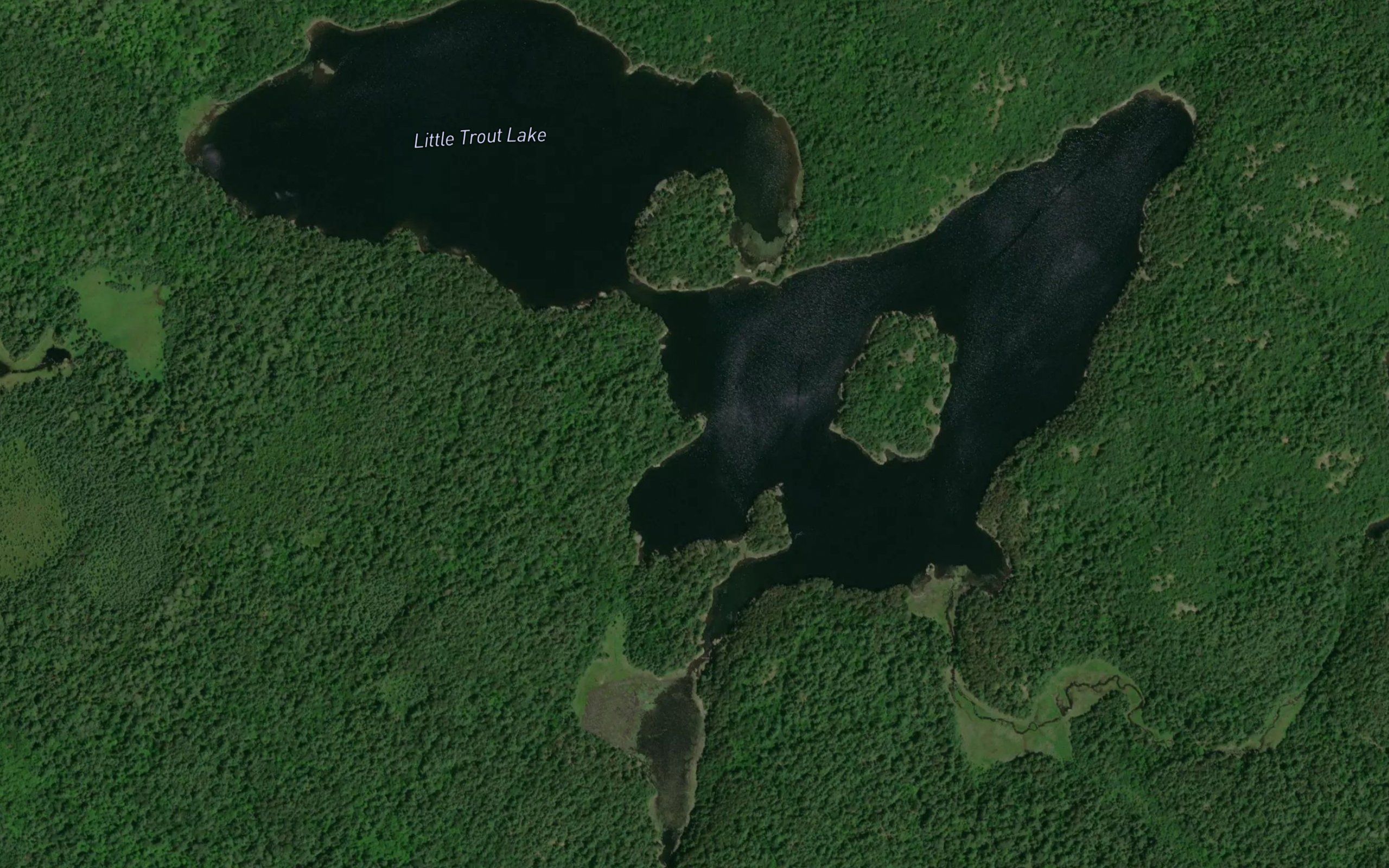 Little Trout Lake