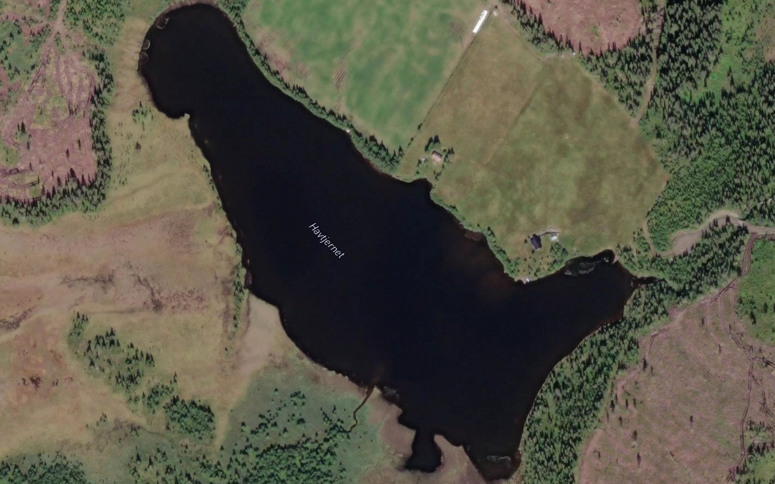 Havtjernet