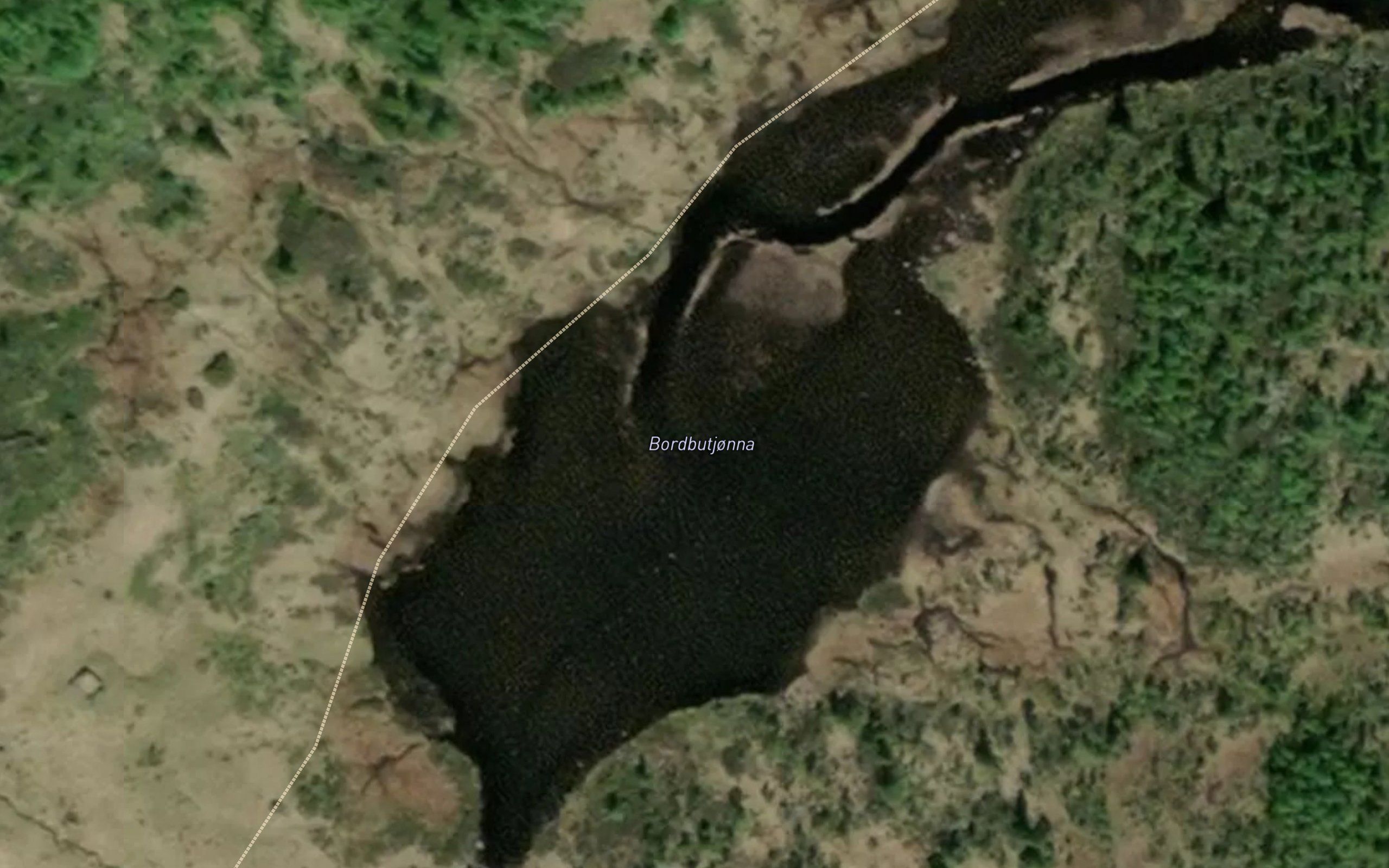 Bordbutjonna