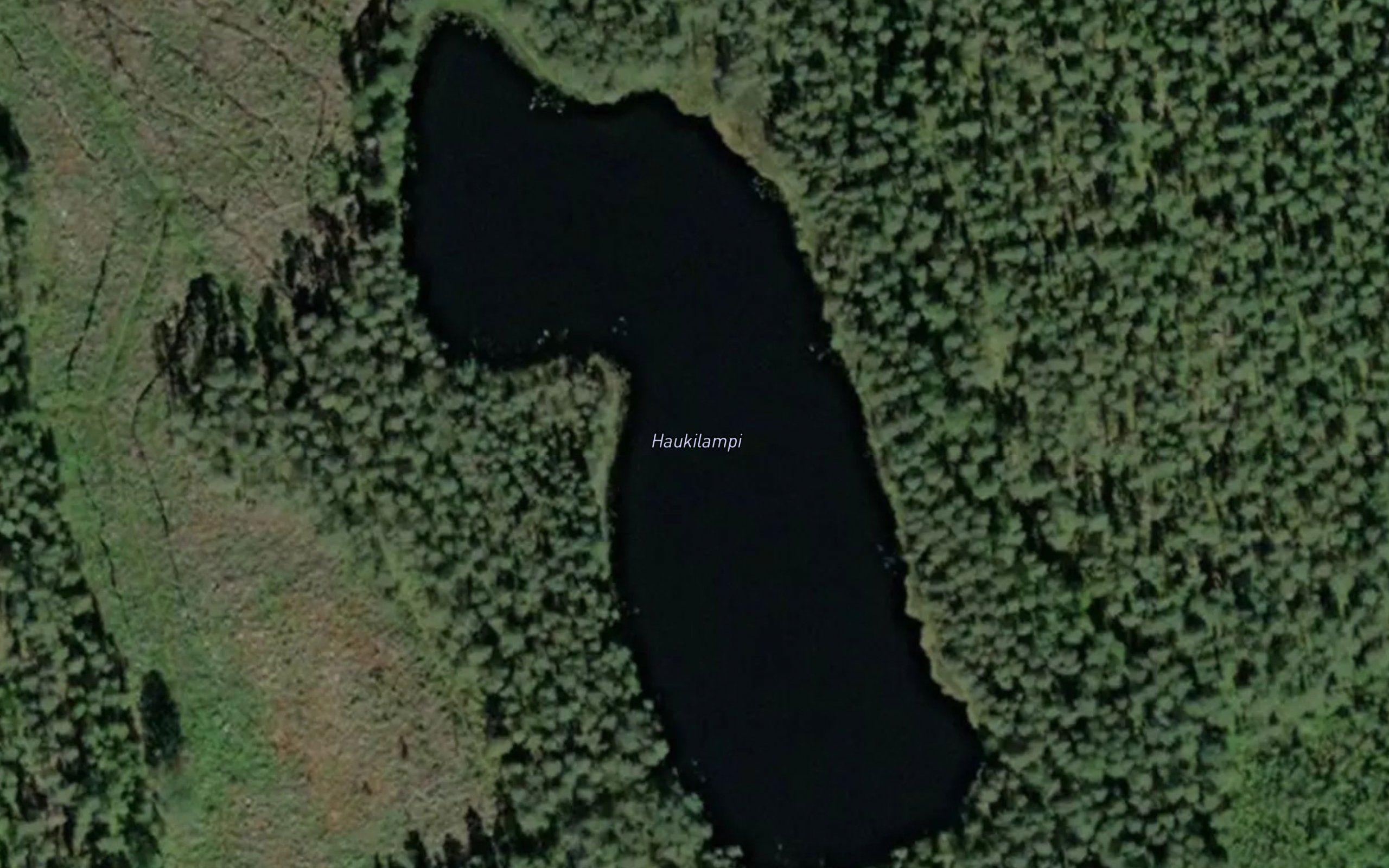 Haukilampi