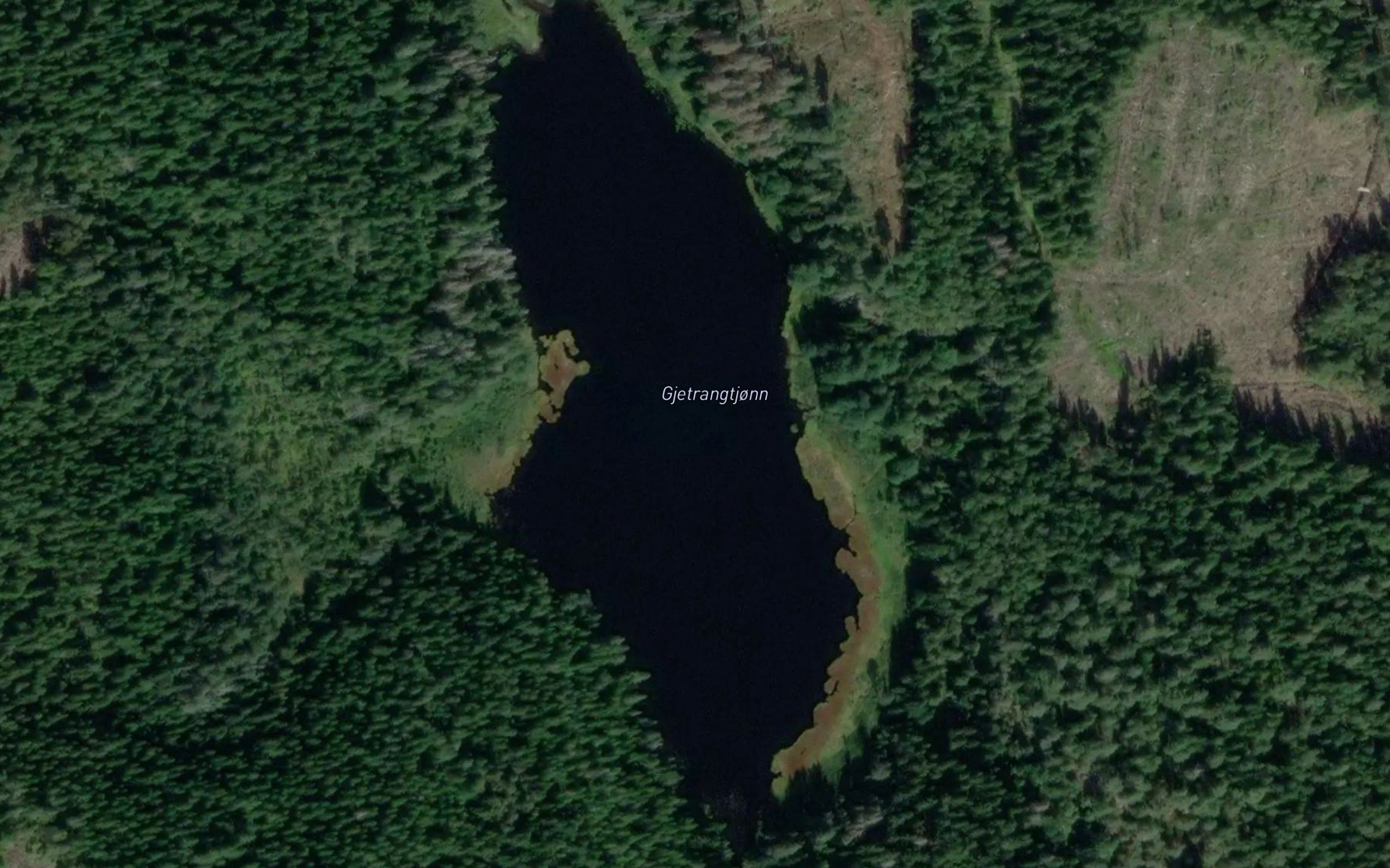 Geirangstjern