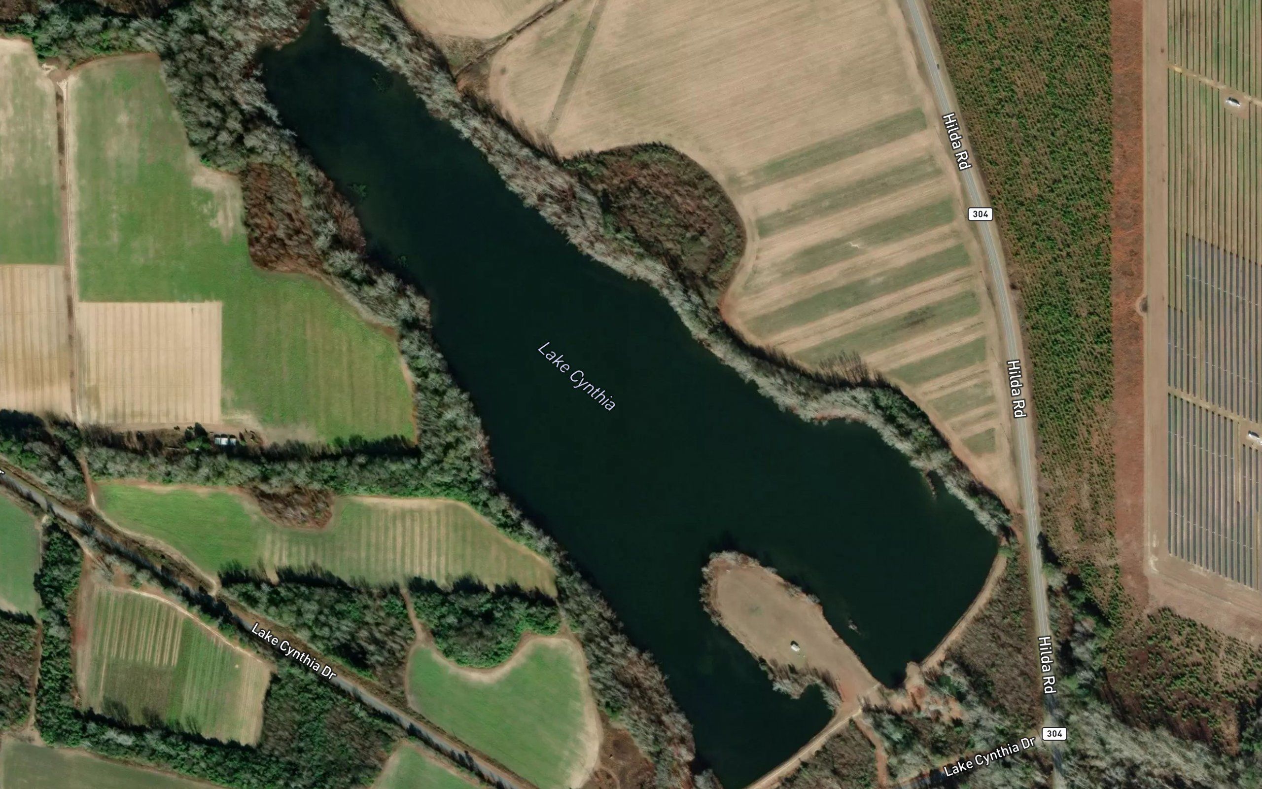 Lake Cynthia
