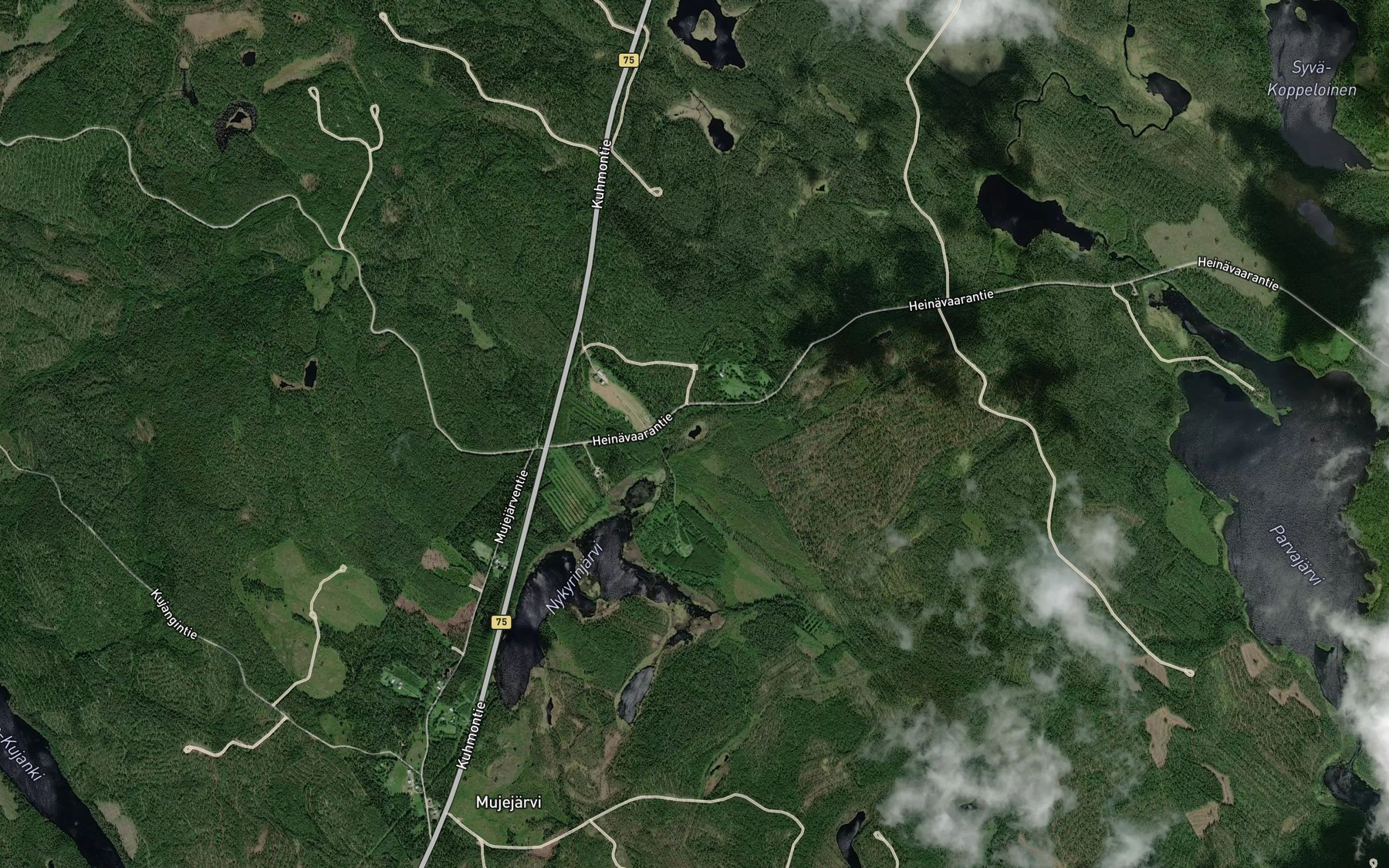 Satellite map of the Hamppulampi