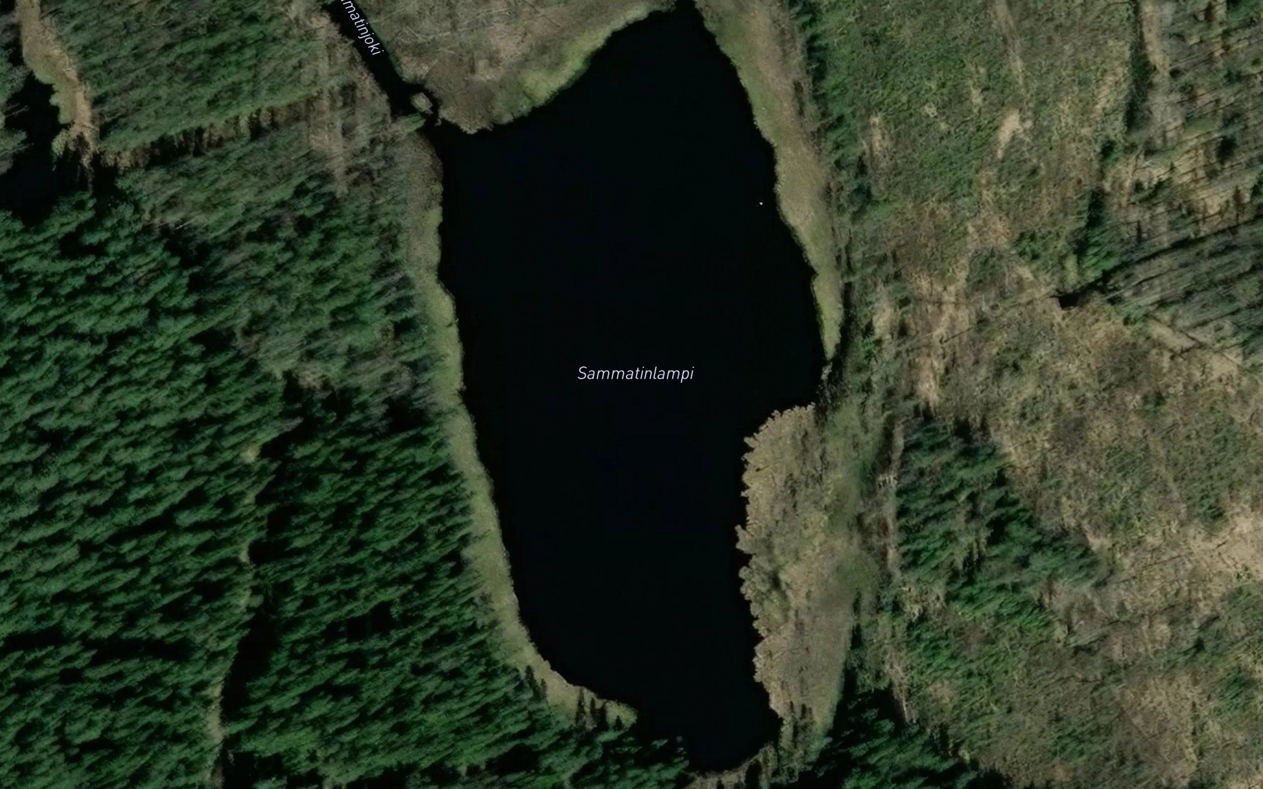 Sammatinlampi