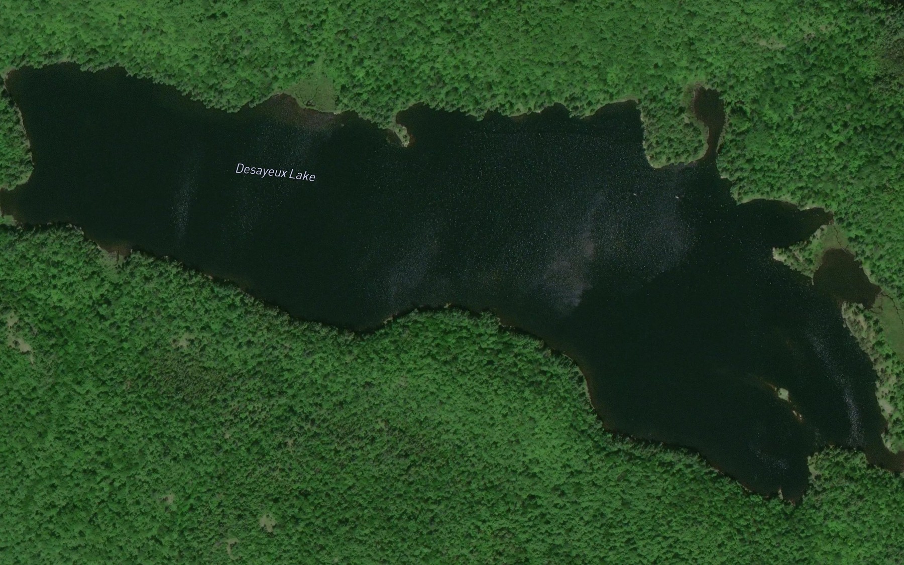 Satellite map of the Desayeux Lake
