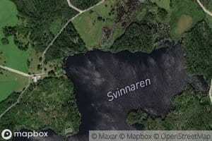 Svinnaren