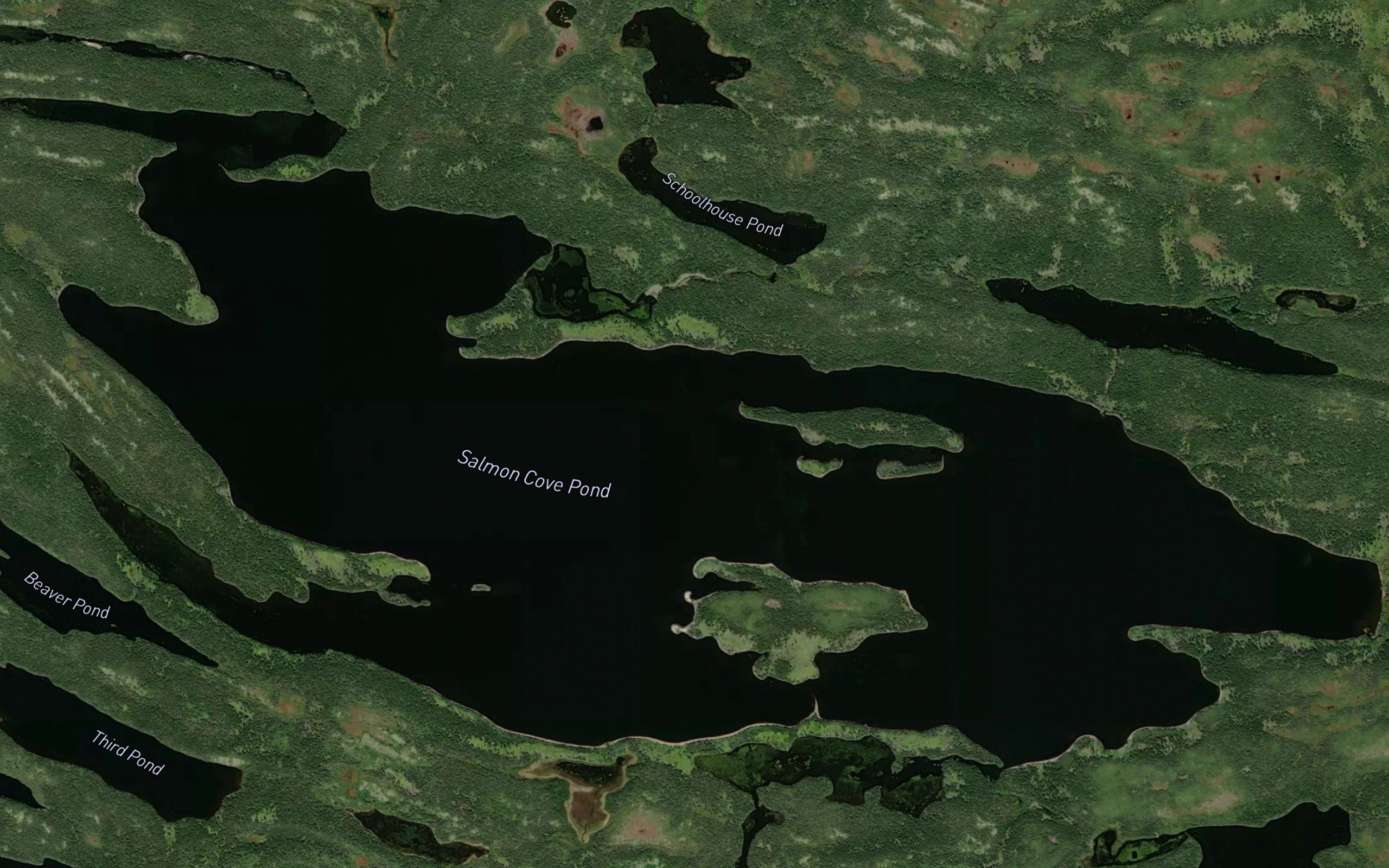 Salmon Cove Pond