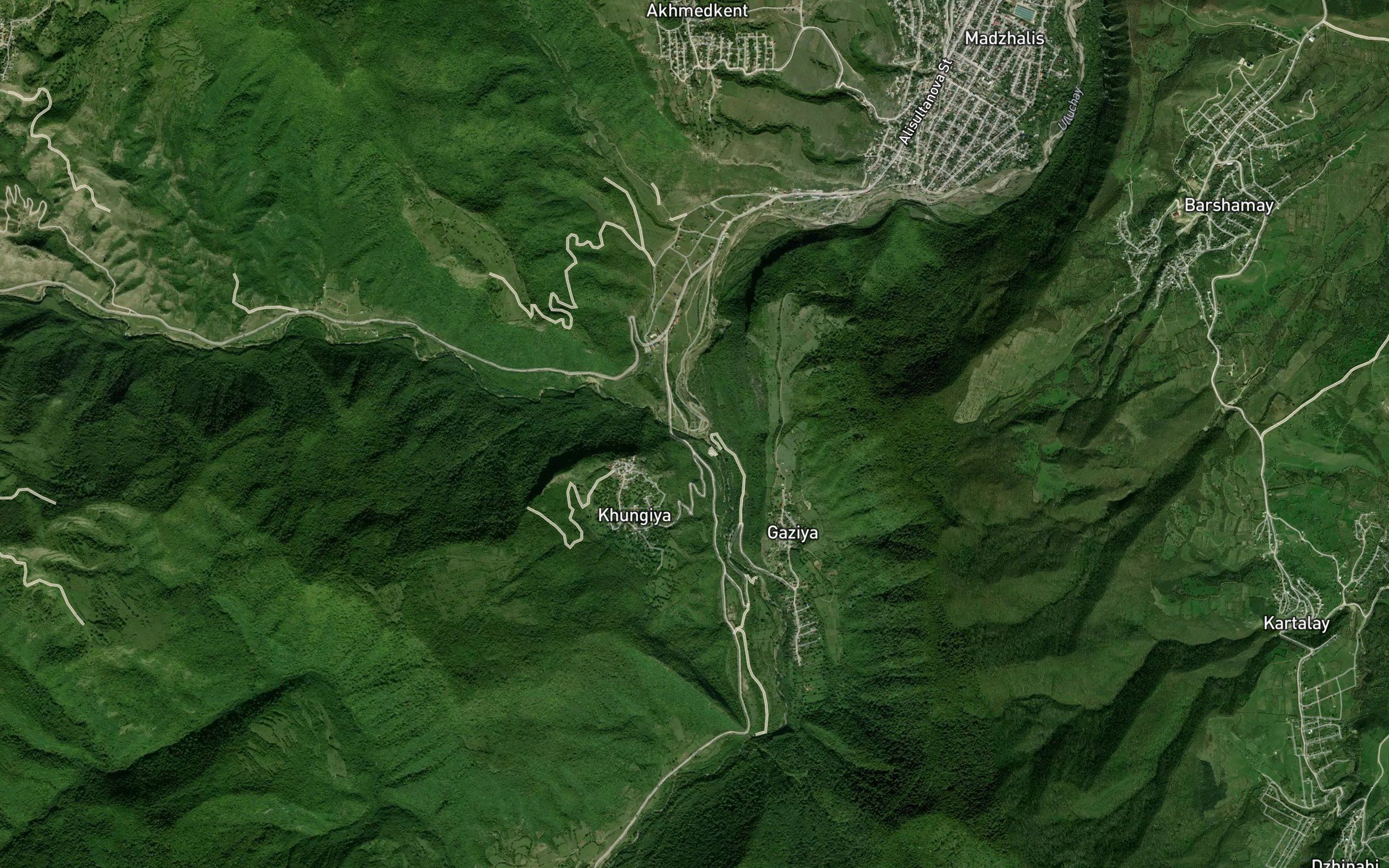 Dzhivus