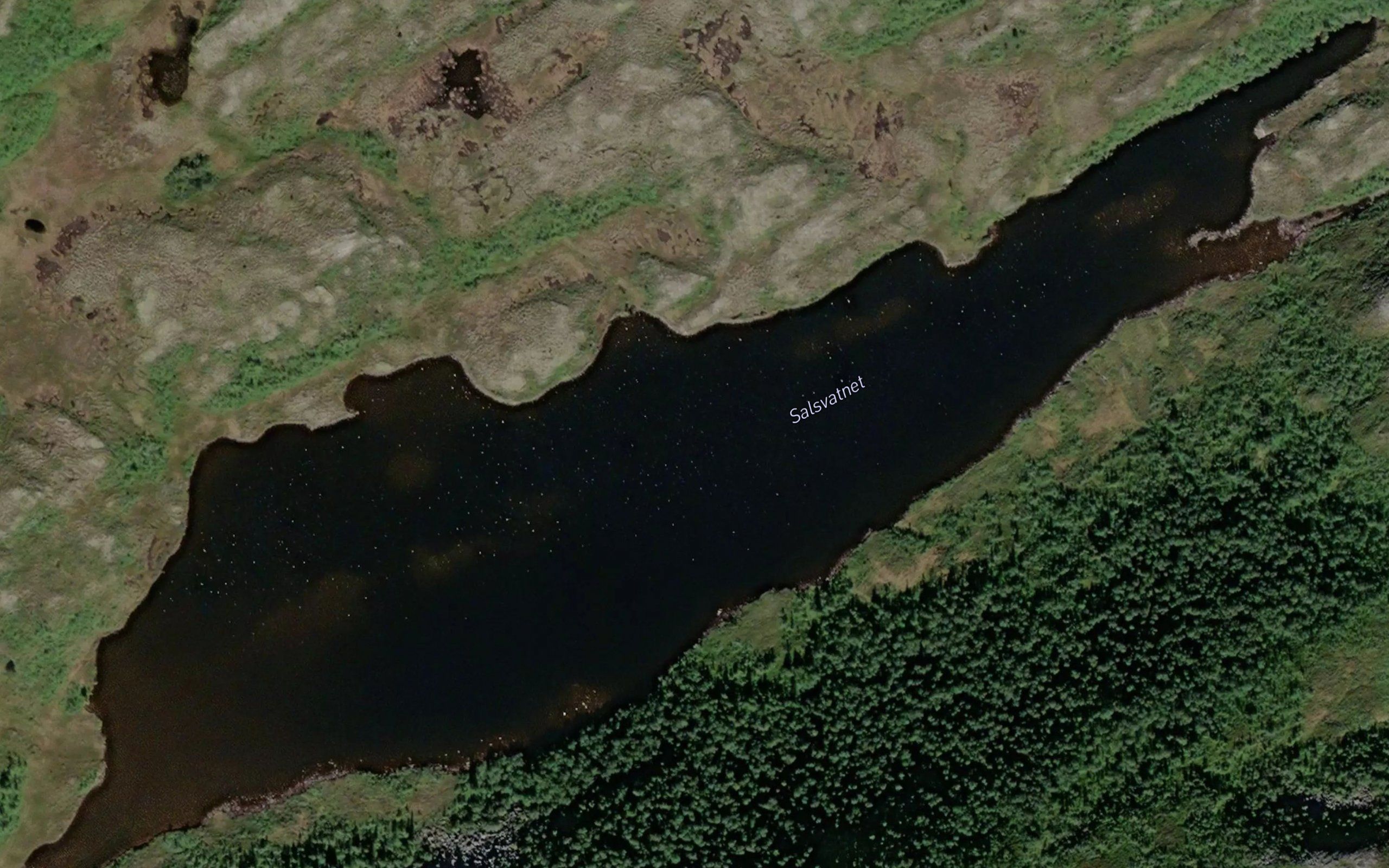 Salsvatnet