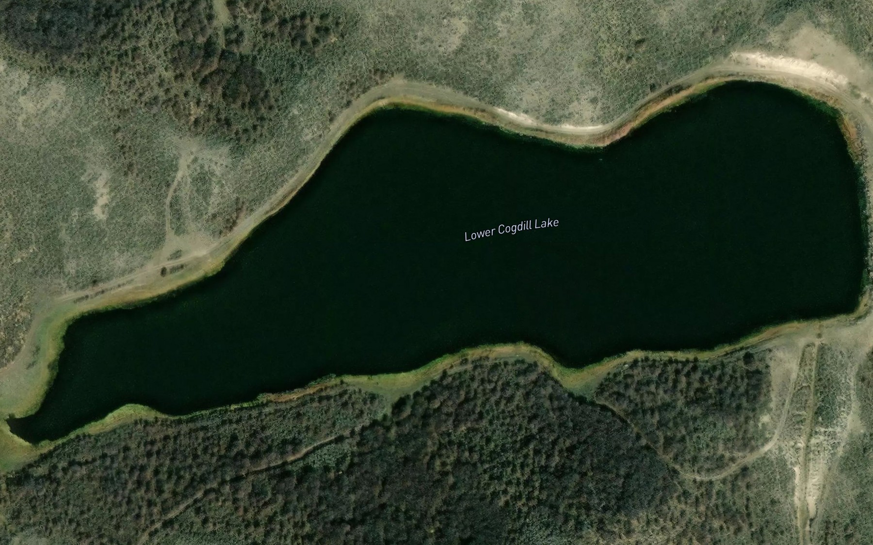 Satellite map of the Lower Cogdill Lake