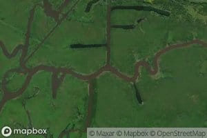 Leopard Bayou