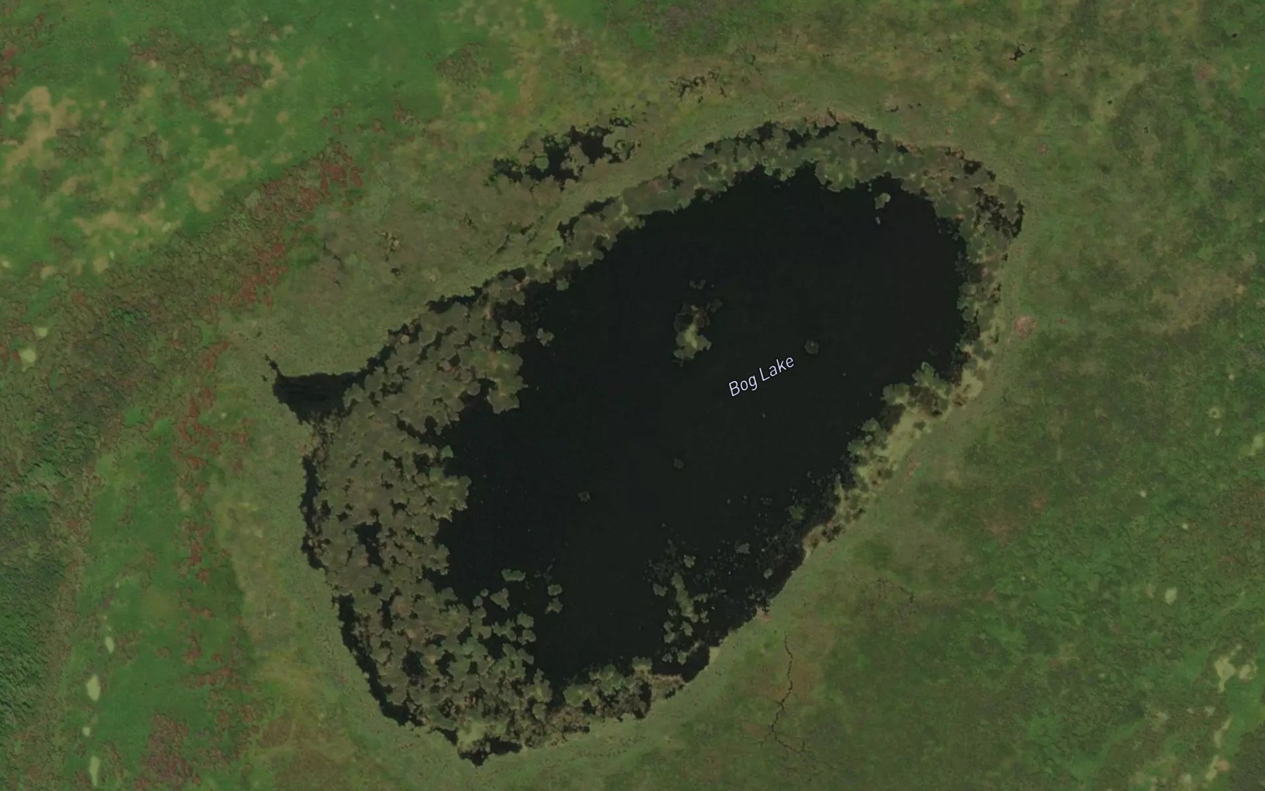 Satellite map of the Bog Lake