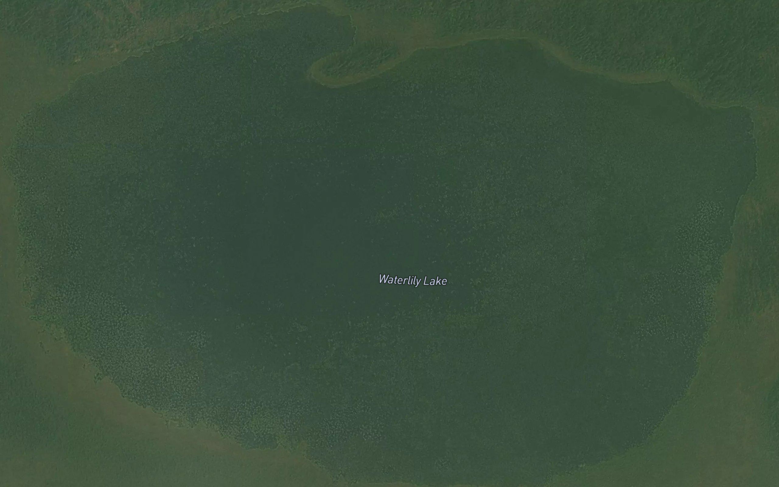 Waterlily Lake
