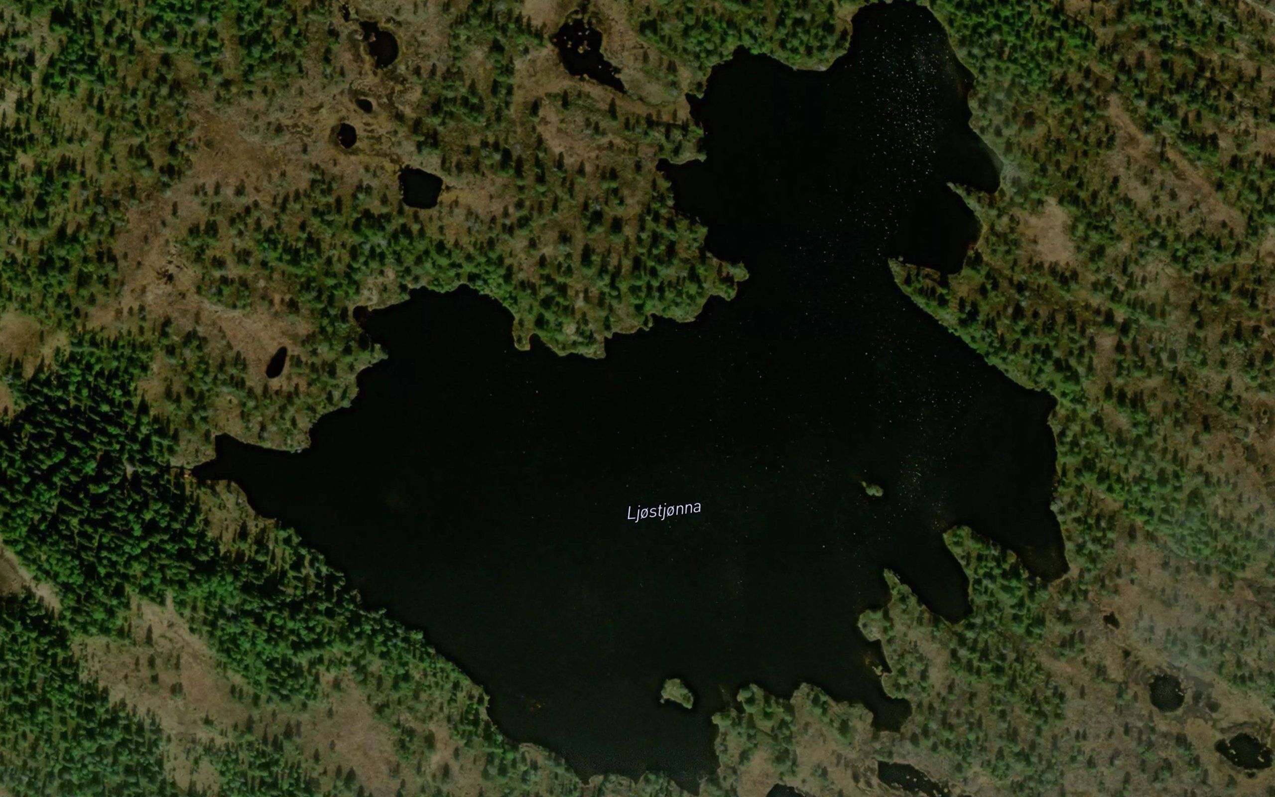 Ljostjorna