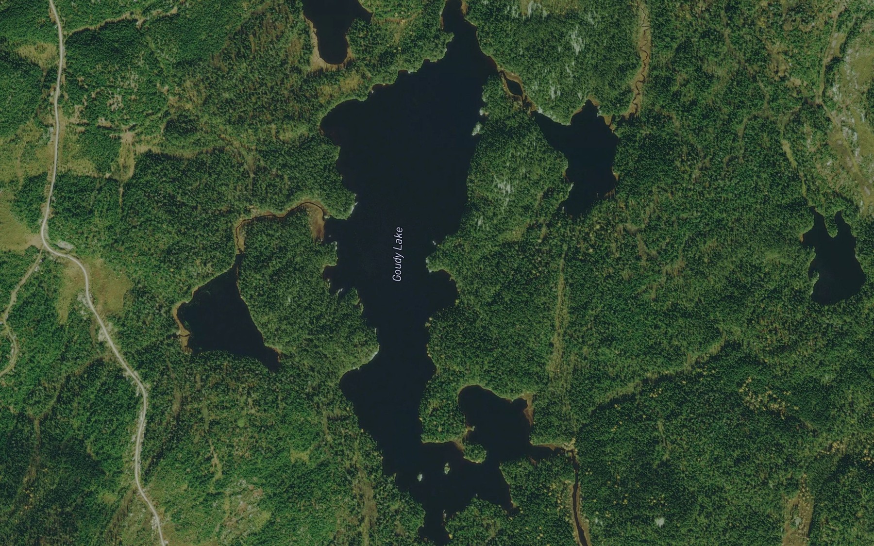 Satellite map of the Goudy Lake