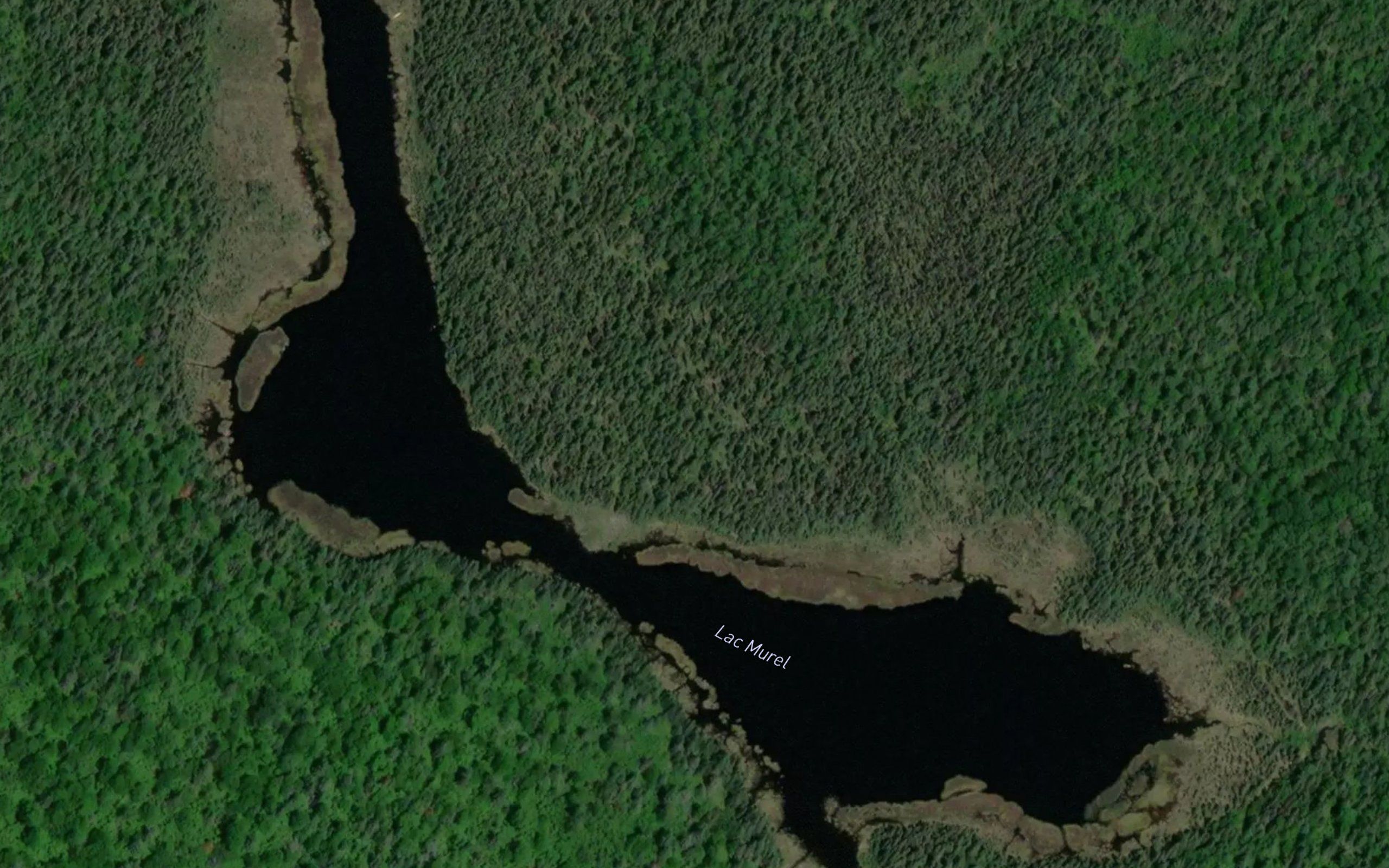 Lac Murel