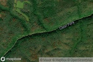 Still Camp Branch