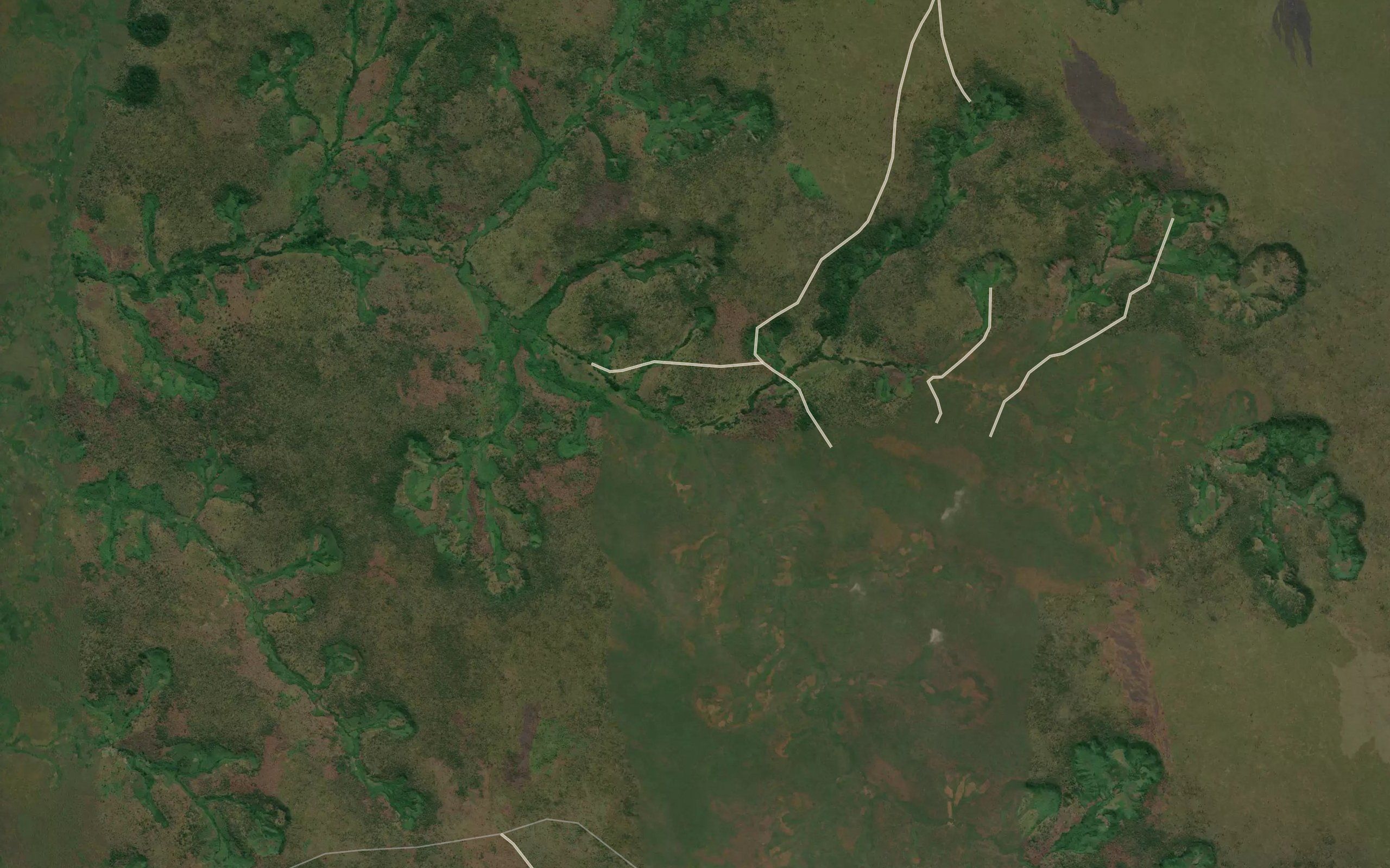 Likongo