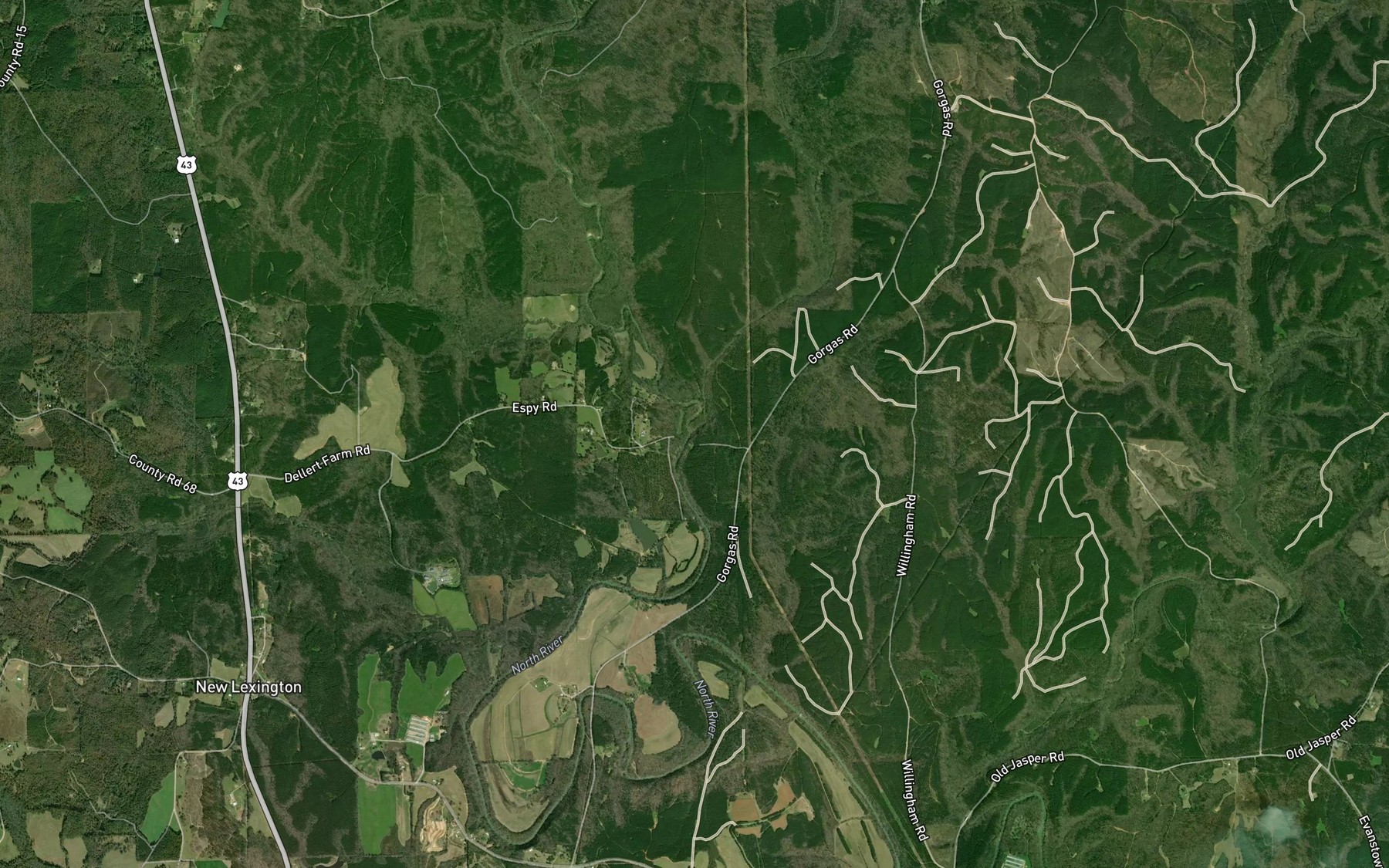 Satellite map of the Cedar Creek