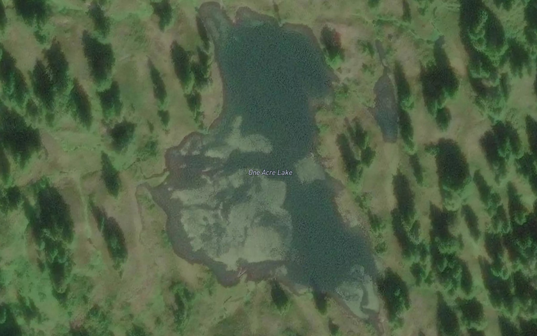 Satellite map of the One Acre Lake