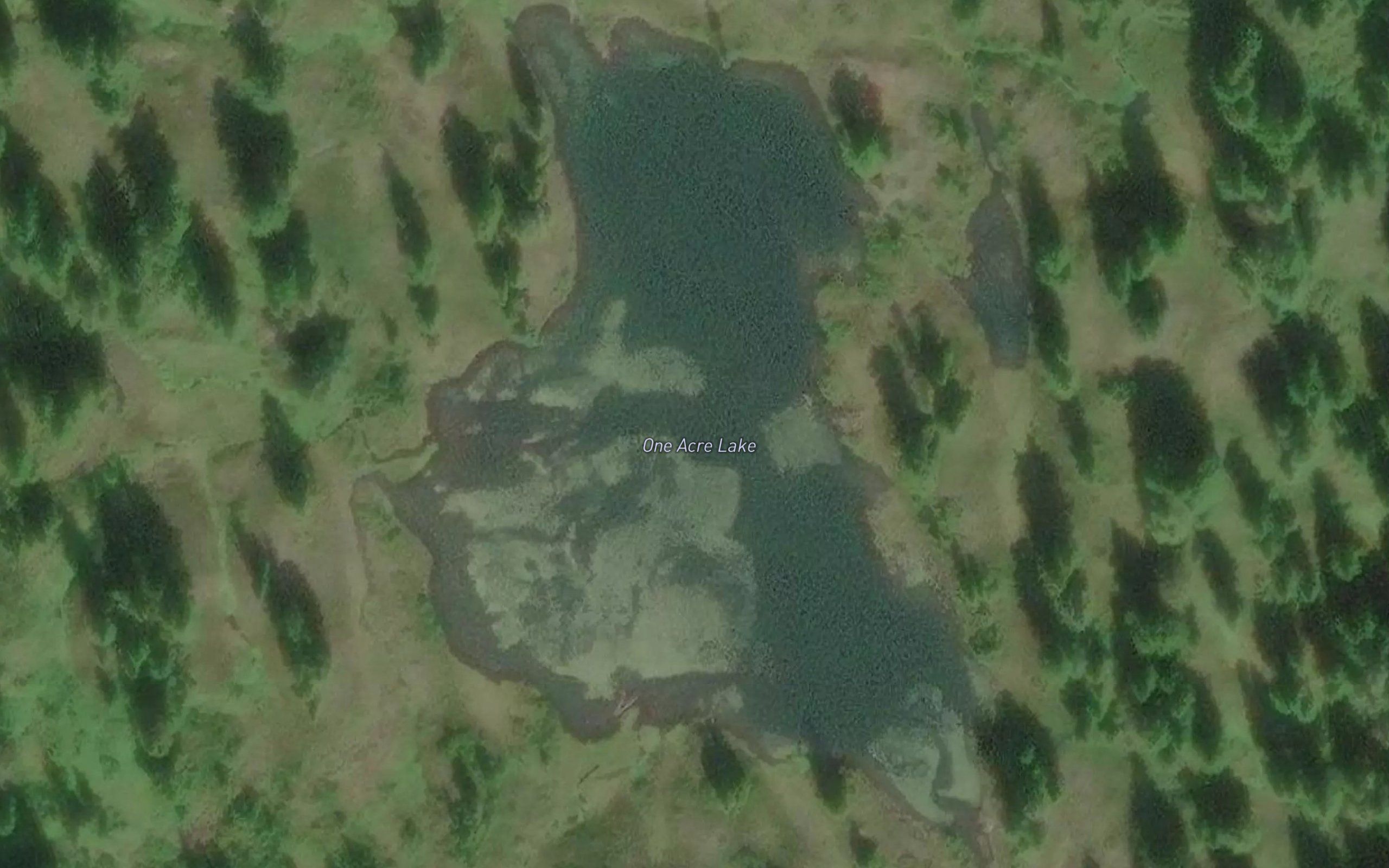 One Acre Lake