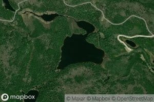 Lac Fox