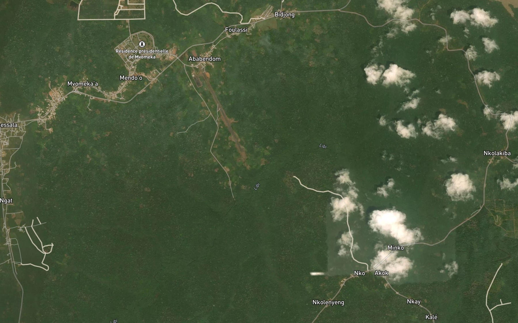 Satellite map of the Fom