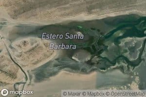 Estero Santa Barbara
