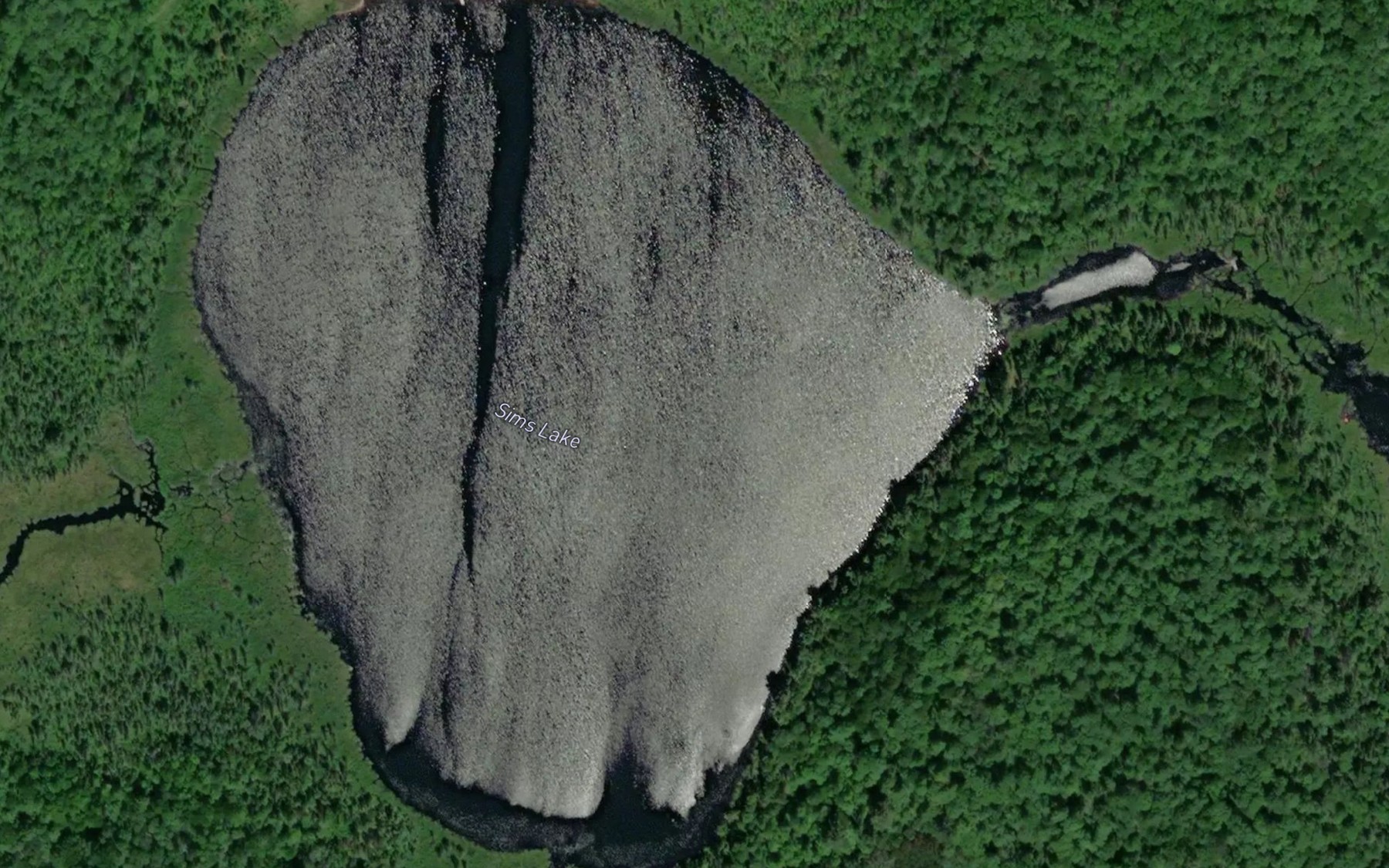 Satellite map of the Sims Lake