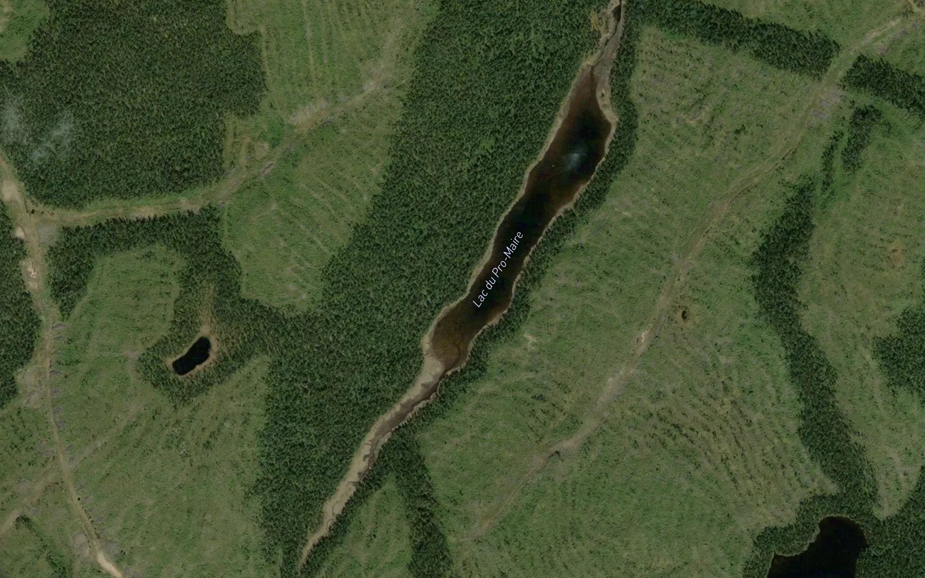 Satellite map of the Lac du Pro-Maire