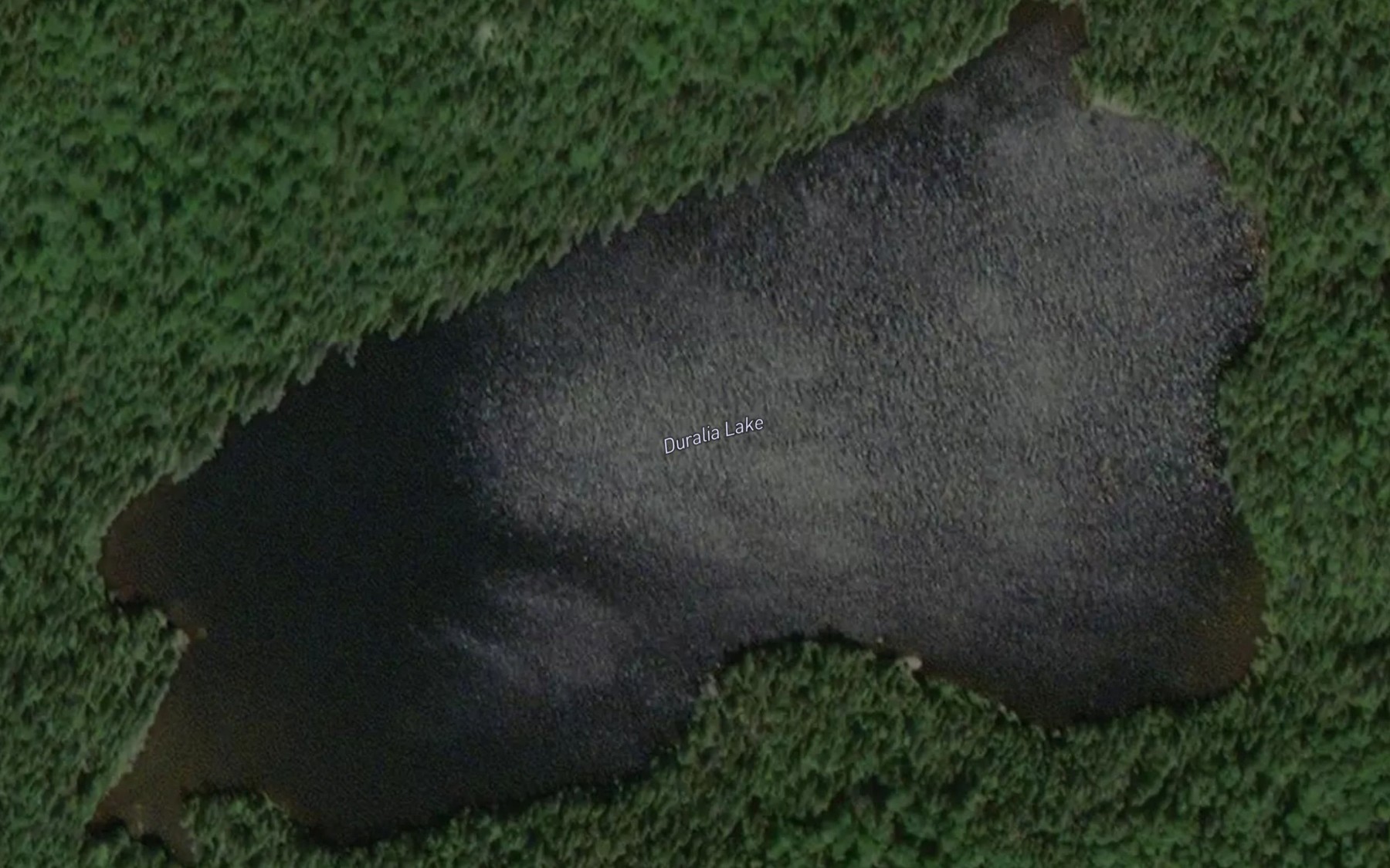 Satellite map of the Duralia Lake
