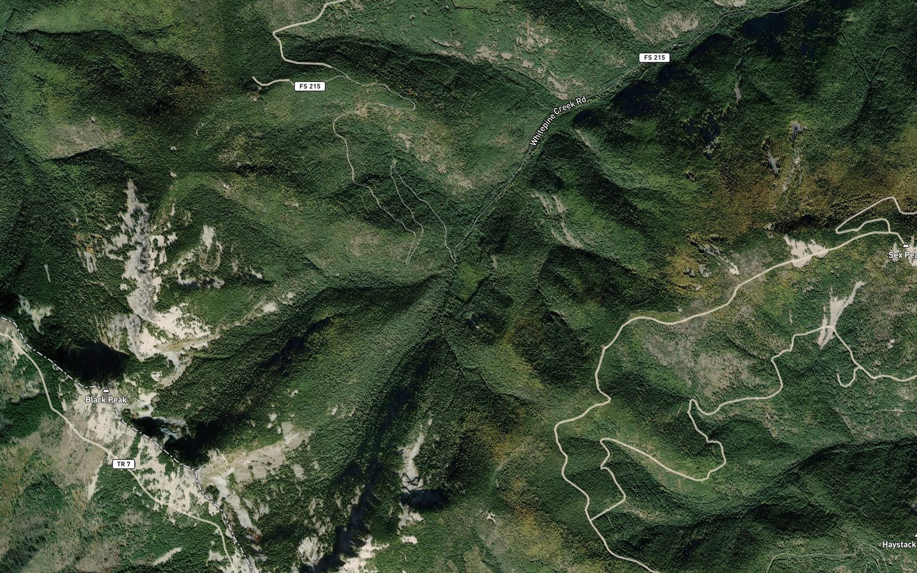 Satellite map of the Black Creek