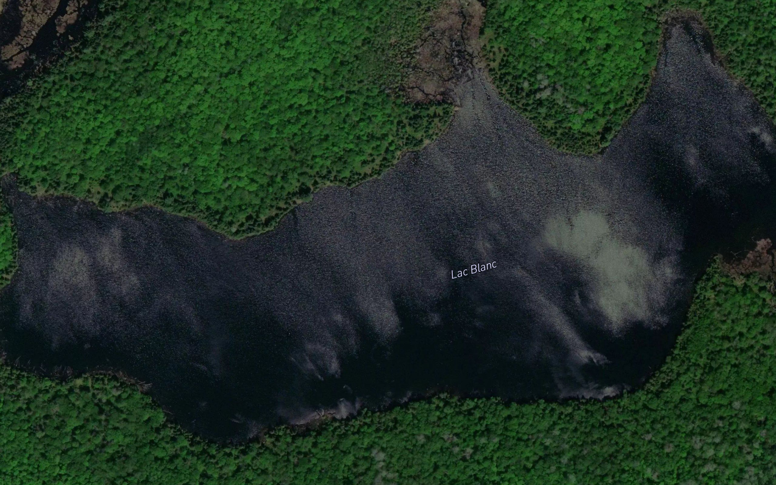 Lac Blanc