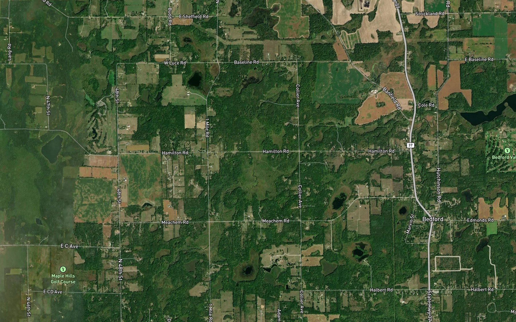 Satellite map of the Spring Brook