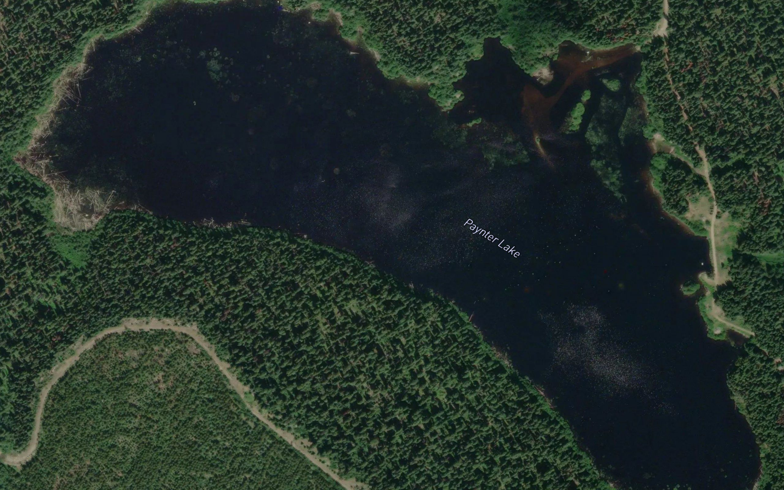 Paynter Lake